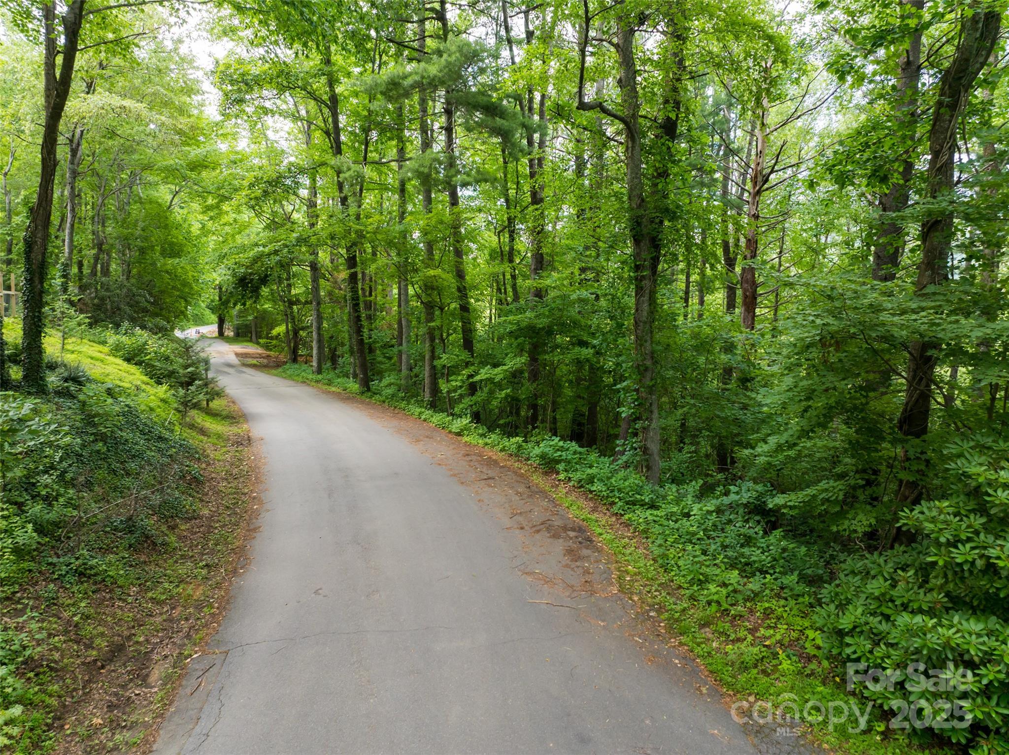 9999 White Oak Gap Road Asheville, NC 28803 - Photo 12 of 24 a view of a road with a yard