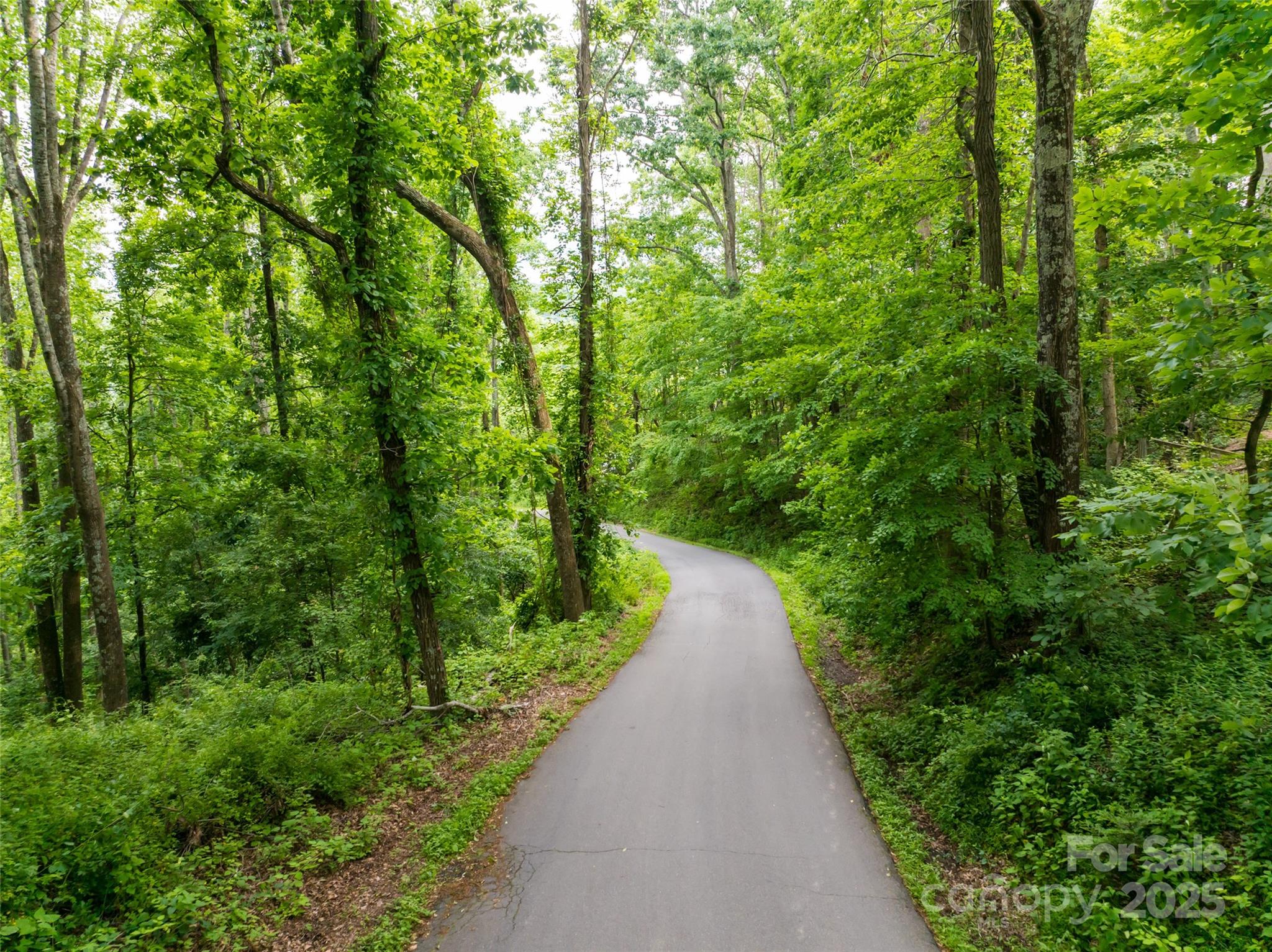 9999 White Oak Gap Road Asheville, NC 28803 - Photo 14 of 24 a view of a pathway in a garden