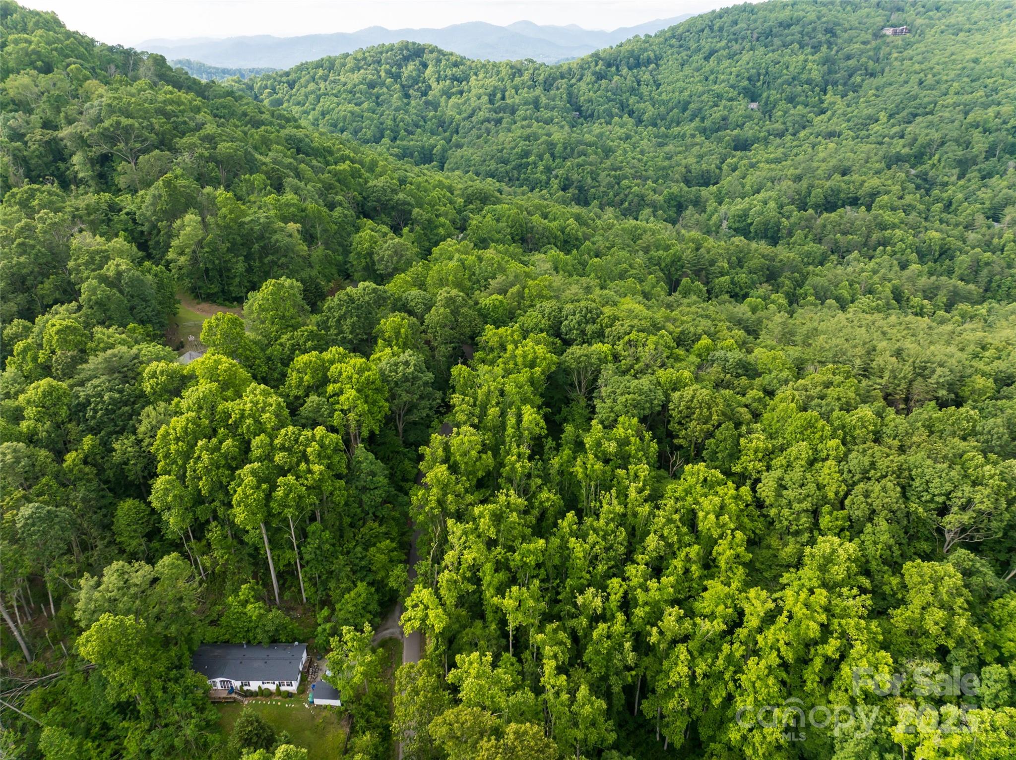 9999 White Oak Gap Road Asheville, NC 28803 - Photo 17 of 24 a view of a lush green forest with lots of trees
