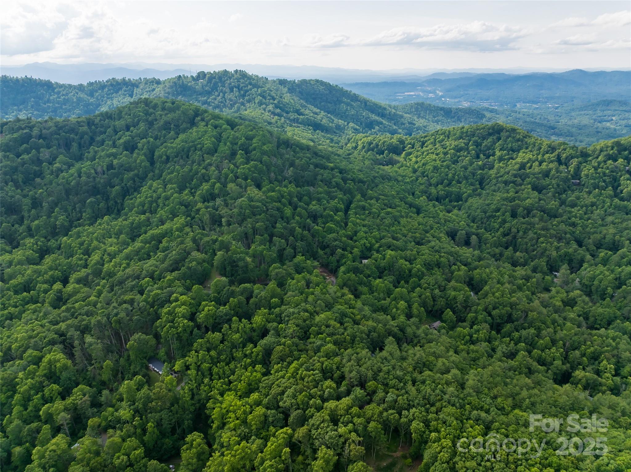 9999 White Oak Gap Road Asheville, NC 28803 - Photo 19 of 24 a view of a lush green field with lots of bushes