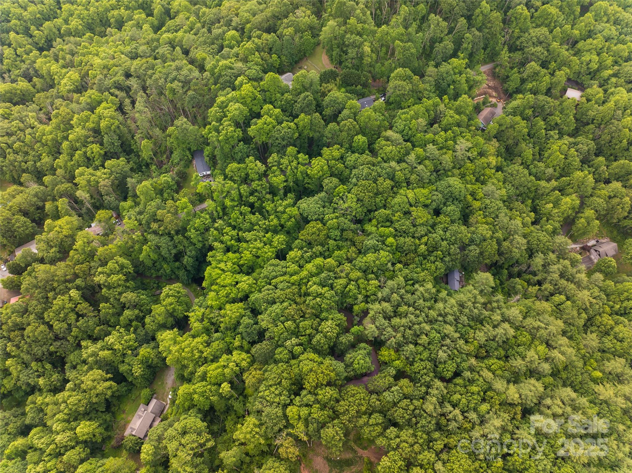 9999 White Oak Gap Road Asheville, NC 28803 - Photo 20 of 24 a view of a large yard with a tree