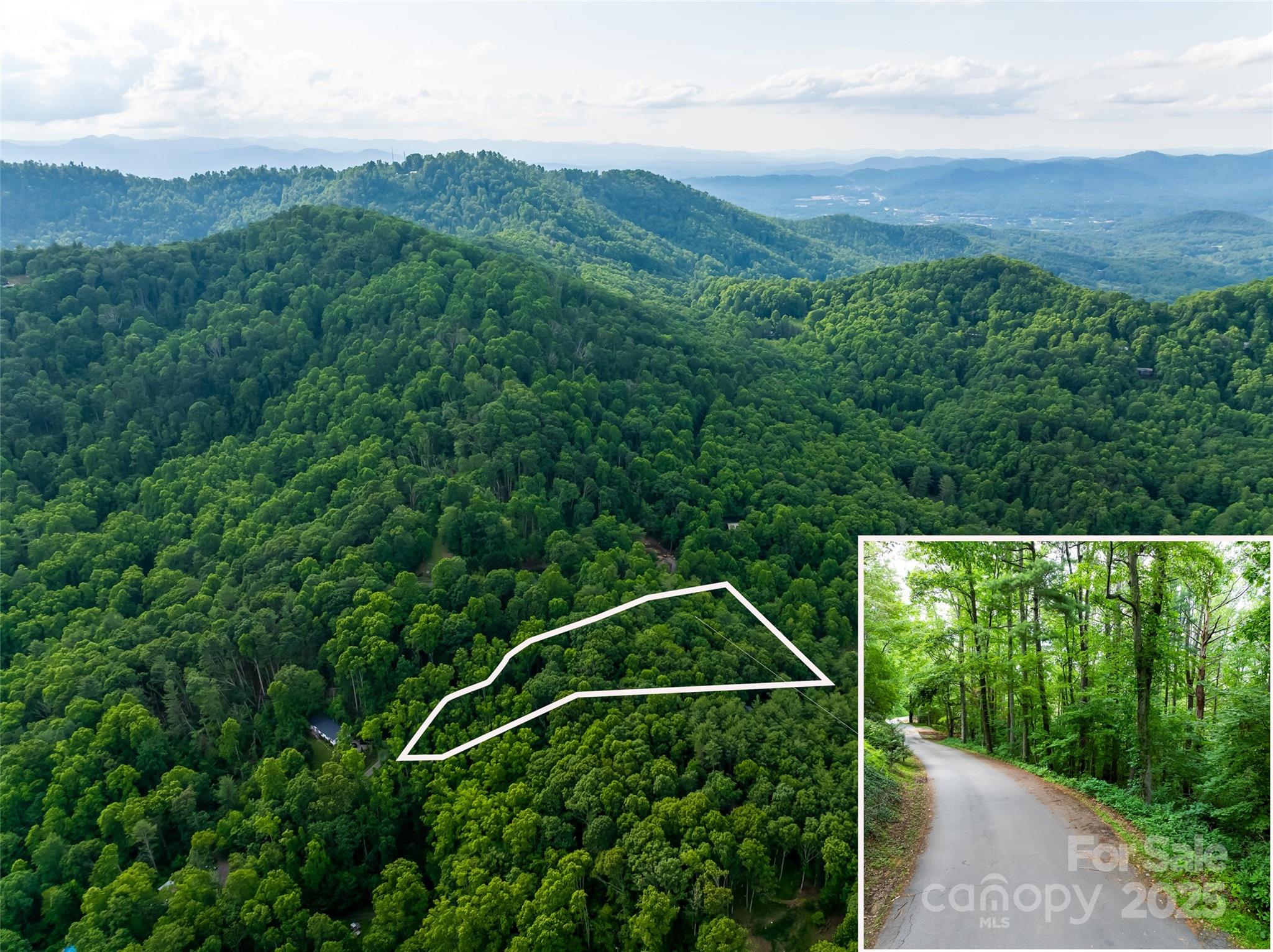 9999 White Oak Gap Road Asheville, NC 28803 - Photo 2 of 24 a view of a field with mountains in the background