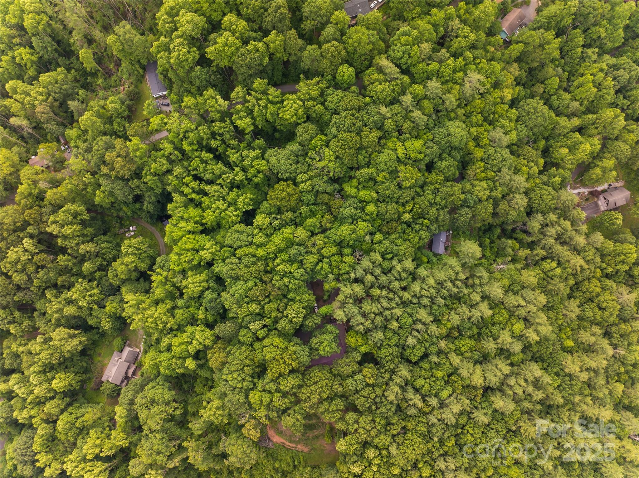 9999 White Oak Gap Road Asheville, NC 28803 - Photo 21 of 24 a view of a lush green field