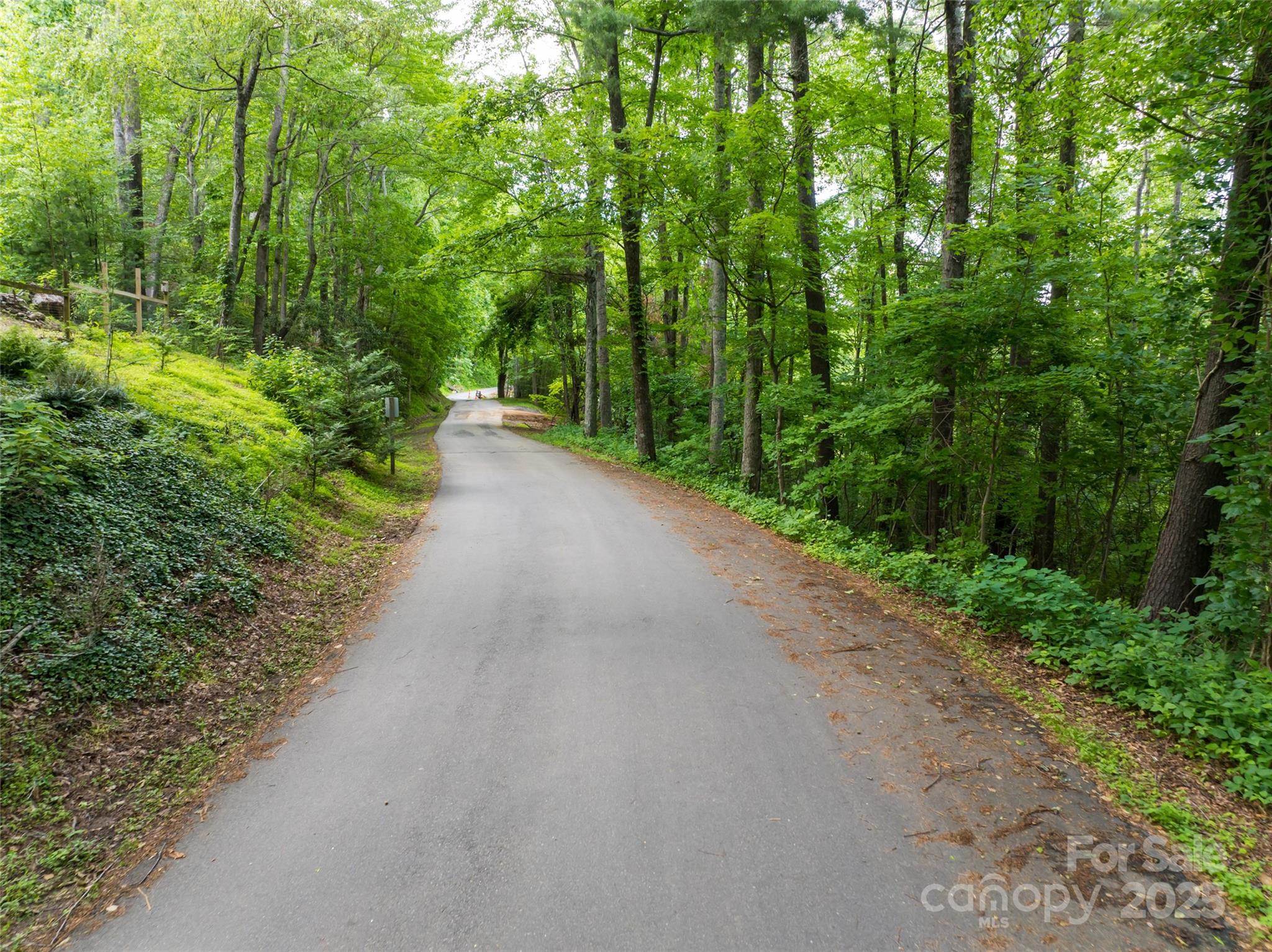 9999 White Oak Gap Road Asheville, NC 28803 - Photo 22 of 24 a view of a road with a yard