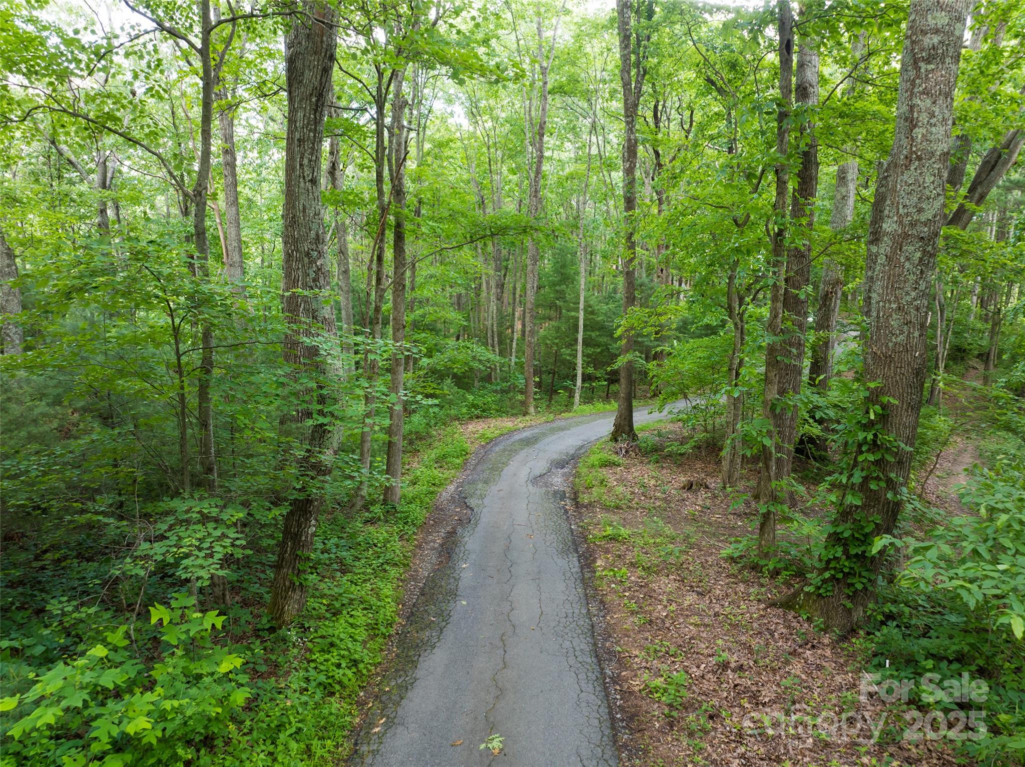 9999 White Oak Gap Road Asheville, NC 28803 - Photo 24 of 24 a view of a pathway both side of yard