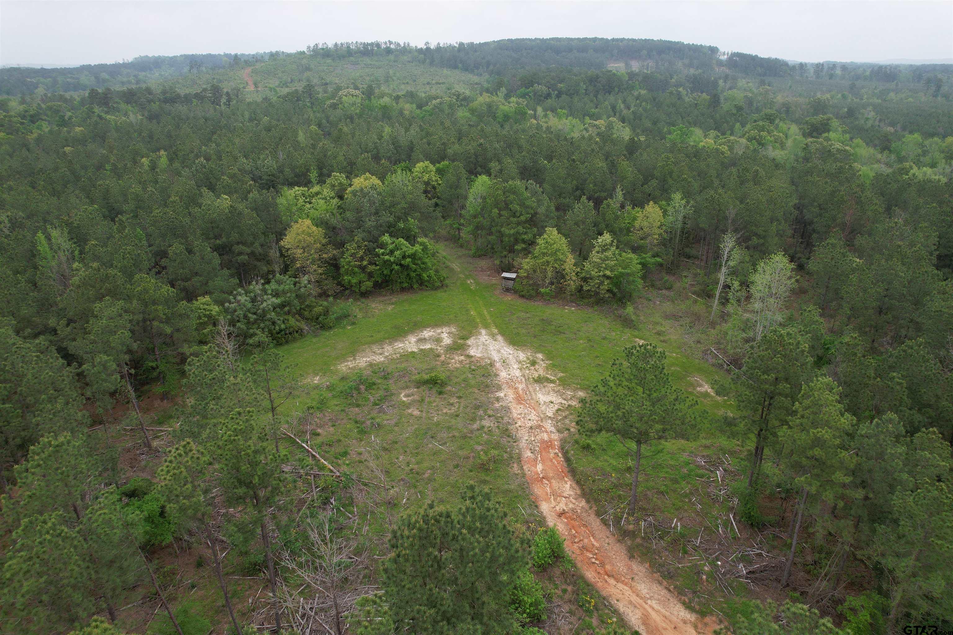 1248 / Cr Rusk, TX 75785 - Photo 11 of 44 a view of a green yard with large trees