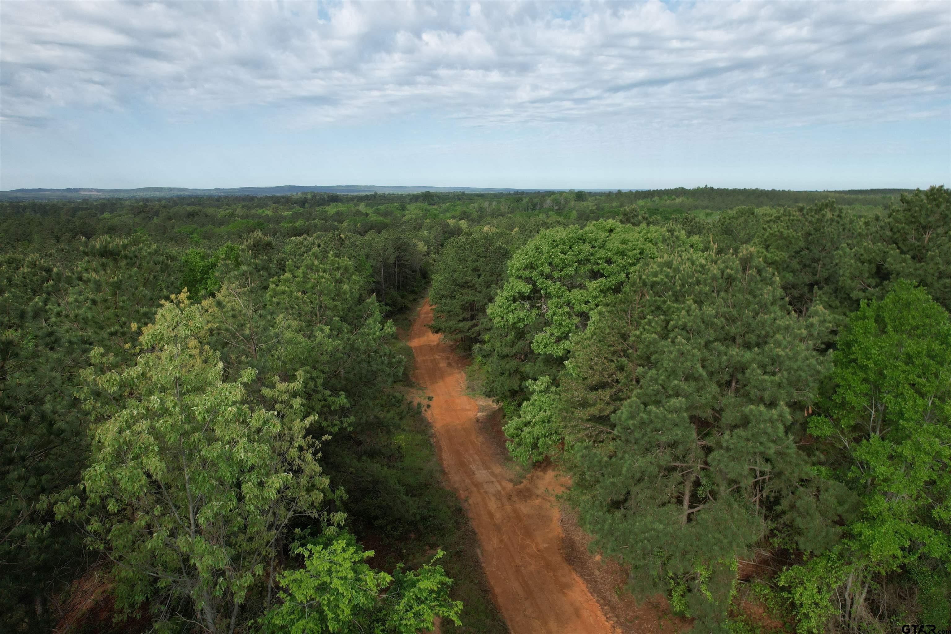 1248 / Cr Rusk, TX 75785 - Photo 12 of 44 a view of a lake with lots of trees