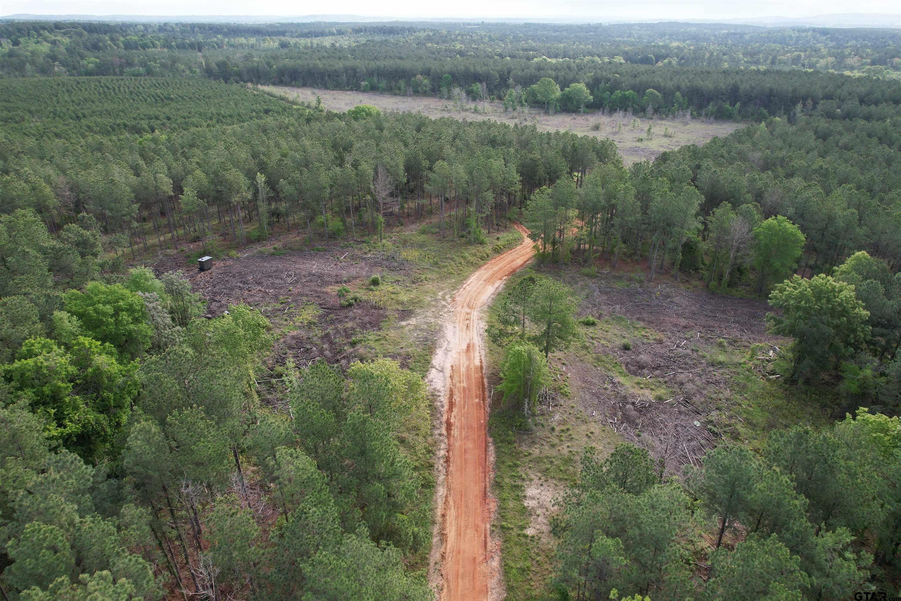 1248 / Cr Rusk, TX 75785 - Photo 14 of 44 a view of a forest filled with trees