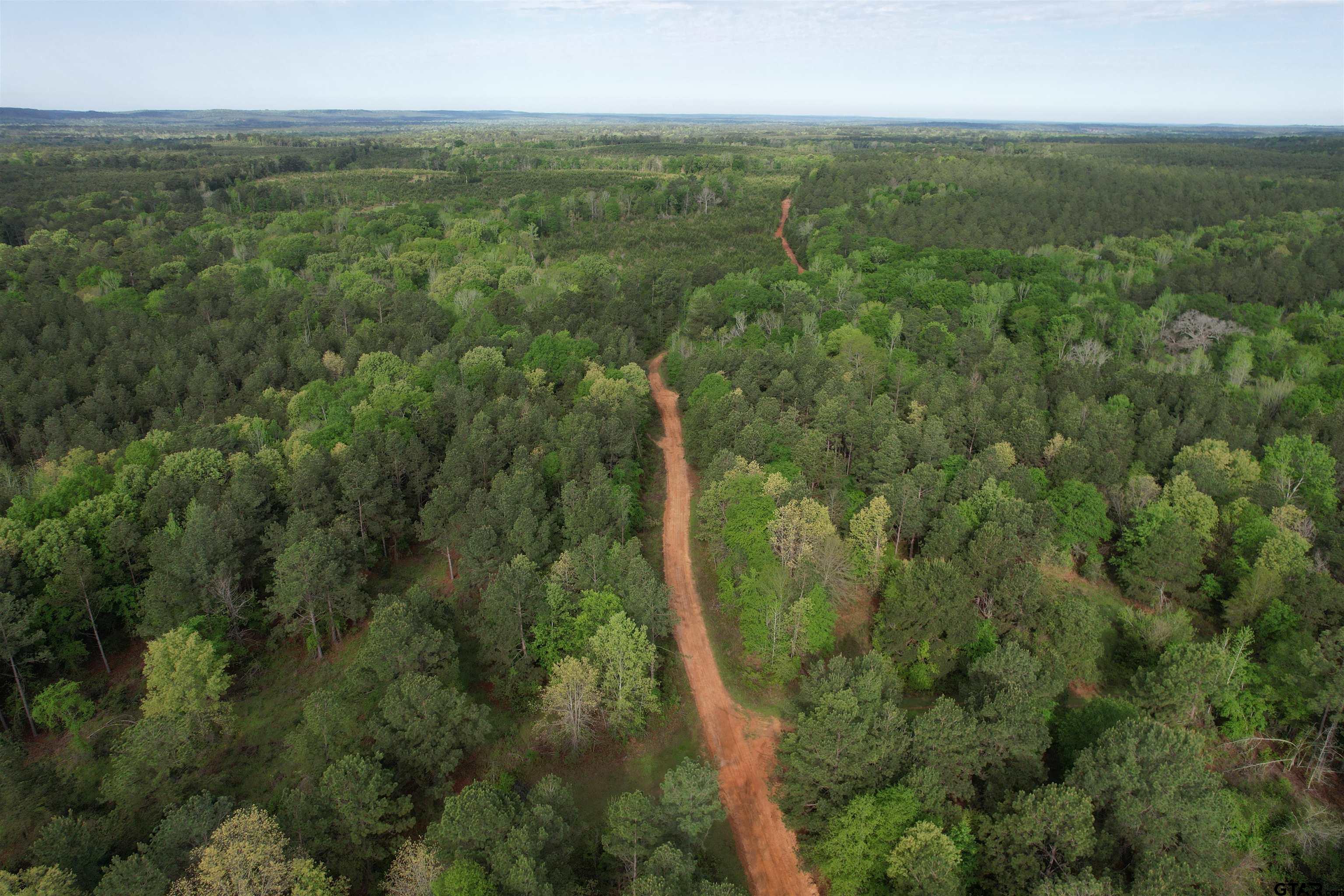 1248 / Cr Rusk, TX 75785 - Photo 15 of 44 a view of a city with lush green forest