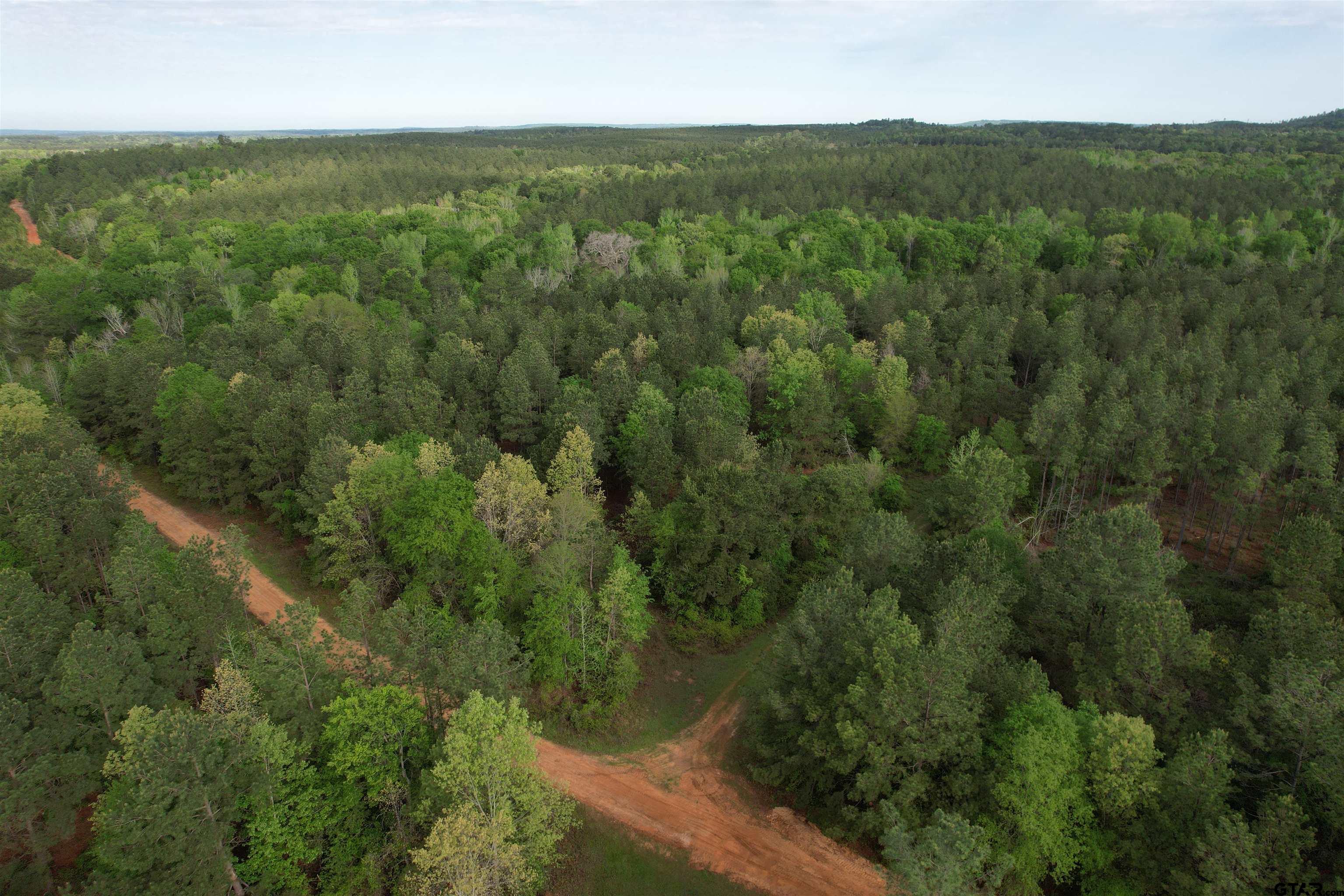 1248 / Cr Rusk, TX 75785 - Photo 16 of 44