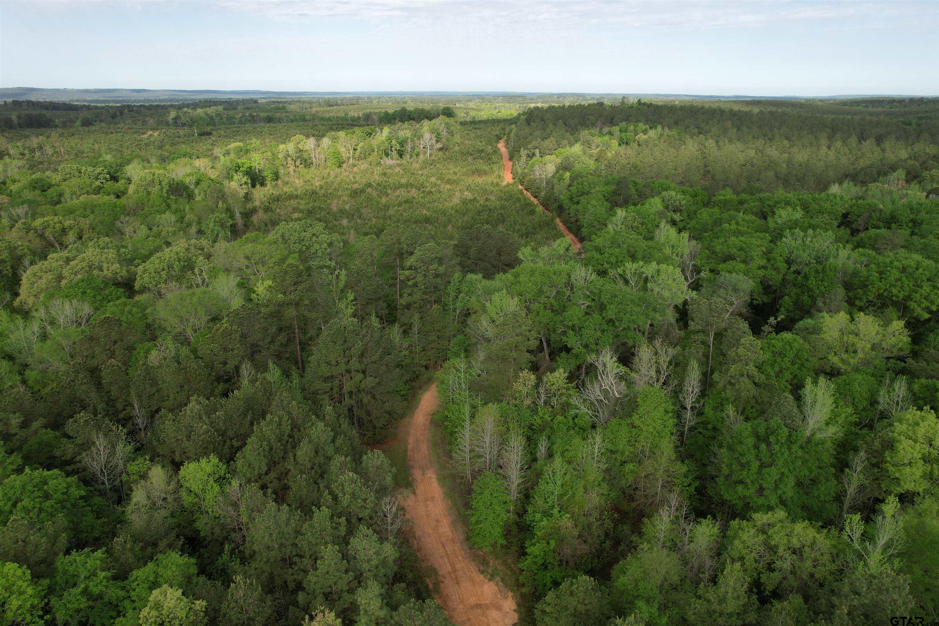 1248 / Cr Rusk, TX 75785 - Photo 17 of 44 a view of a city with lush green forest