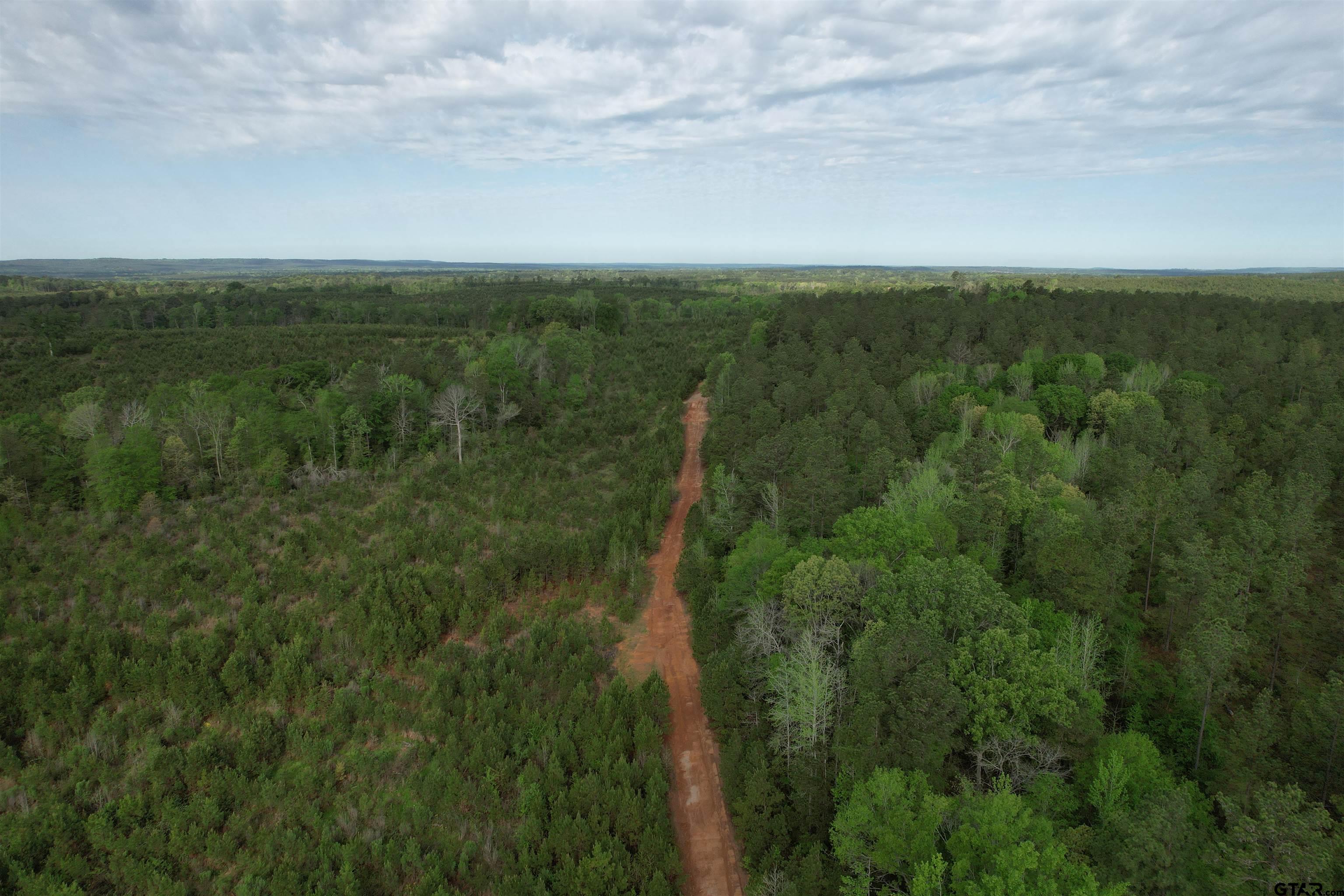 1248 / Cr Rusk, TX 75785 - Photo 18 of 44 a view of a field with an ocean and trees