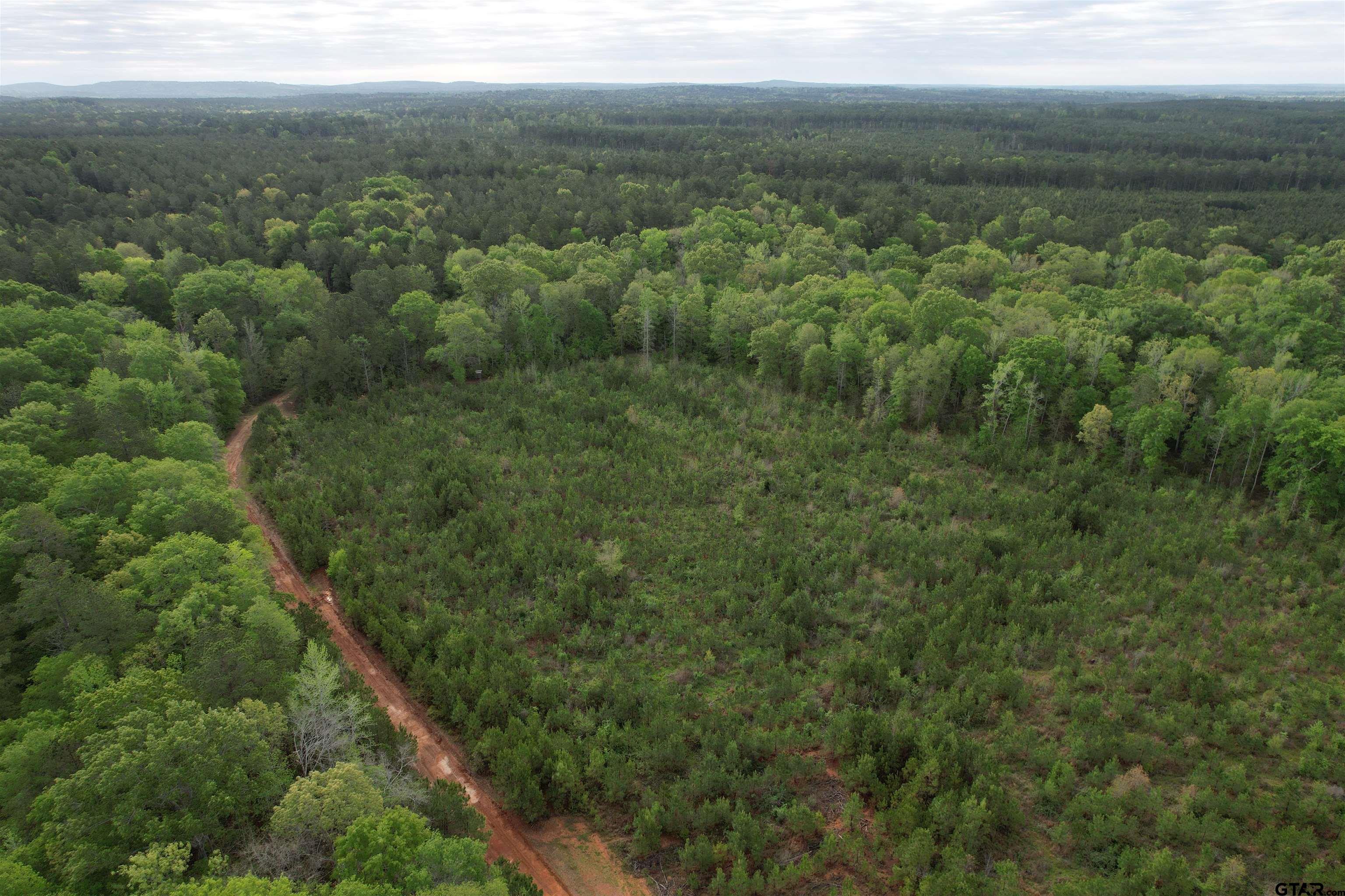 1248 / Cr Rusk, TX 75785 - Photo 19 of 44 a view of a city with lush green forest
