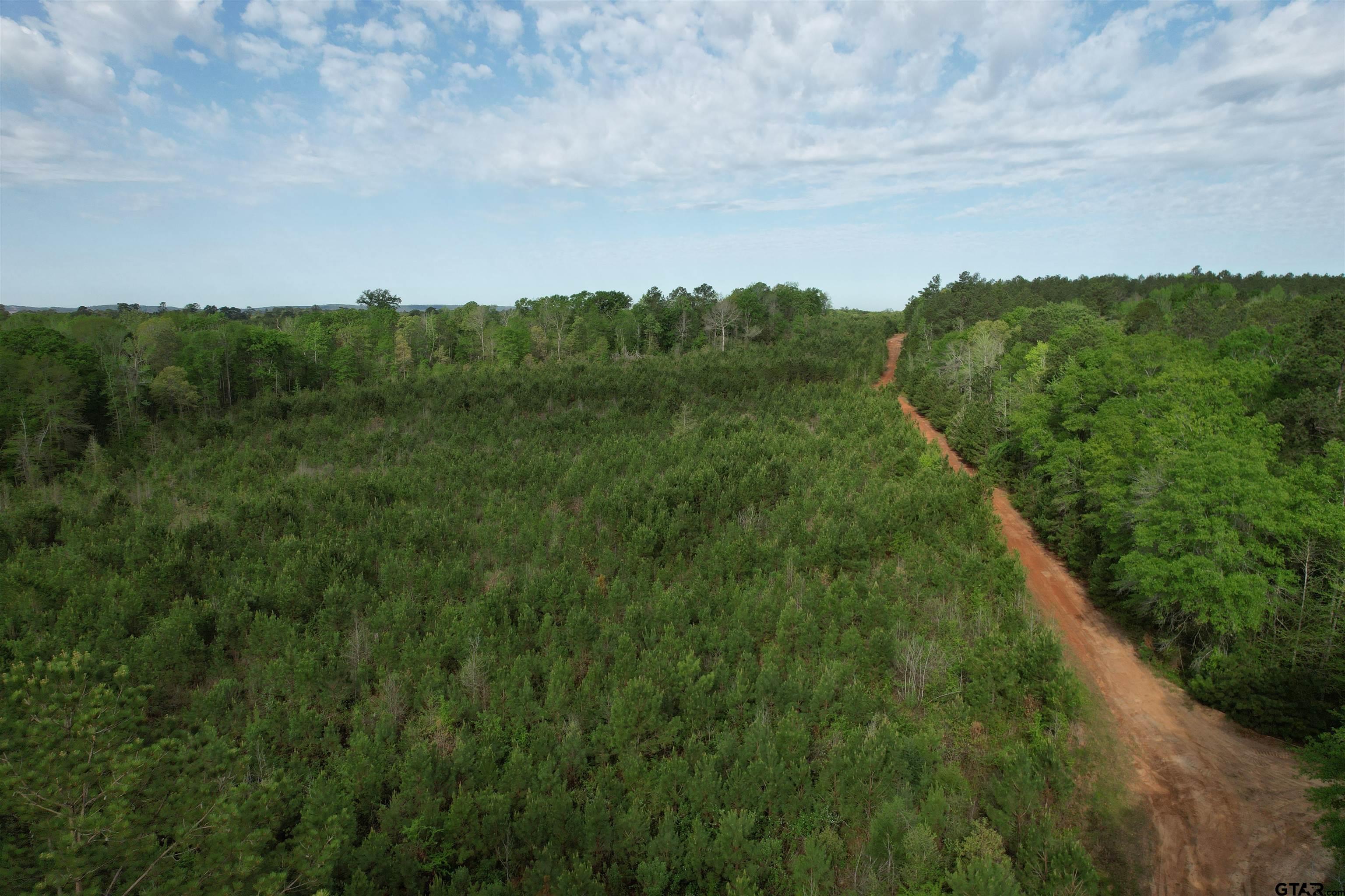 1248 / Cr Rusk, TX 75785 - Photo 20 of 44 a view of a city with lush green forest