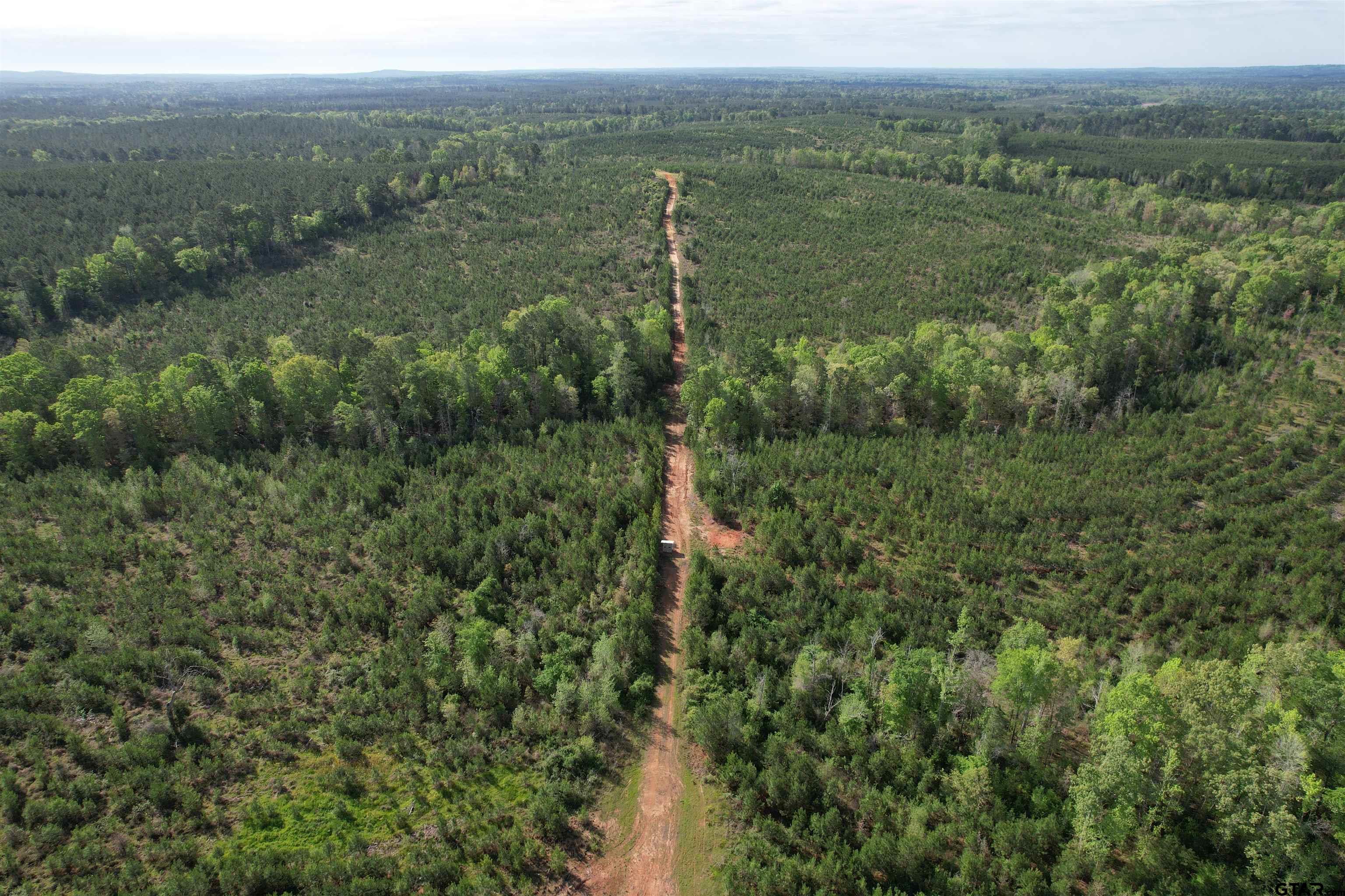 1248 / Cr Rusk, TX 75785 - Photo 2 of 44 a view of a city with lush green forest