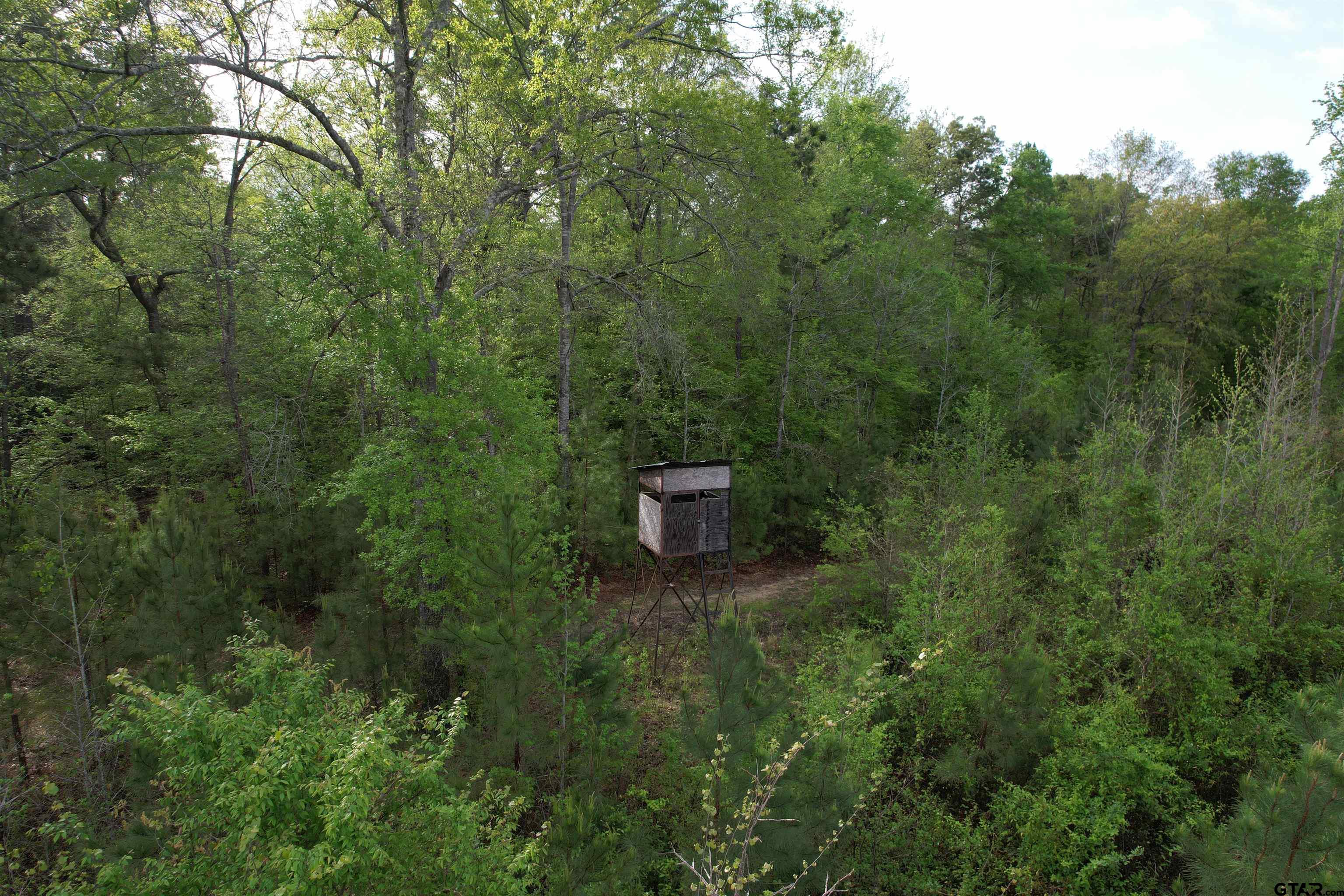 1248 / Cr Rusk, TX 75785 - Photo 21 of 44 a view of a back yard