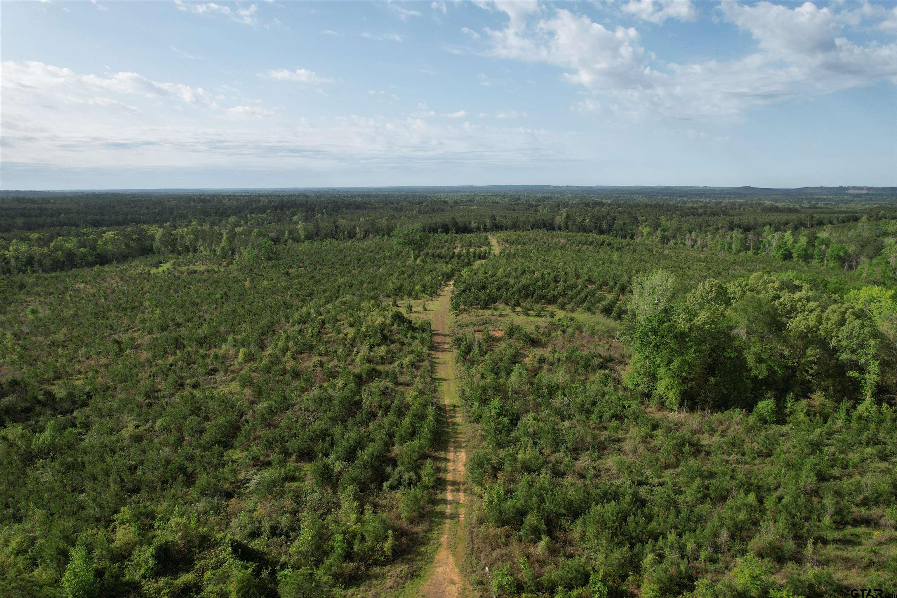 1248 / Cr Rusk, TX 75785 - Photo 24 of 44 a view of a green field with lots of bushes