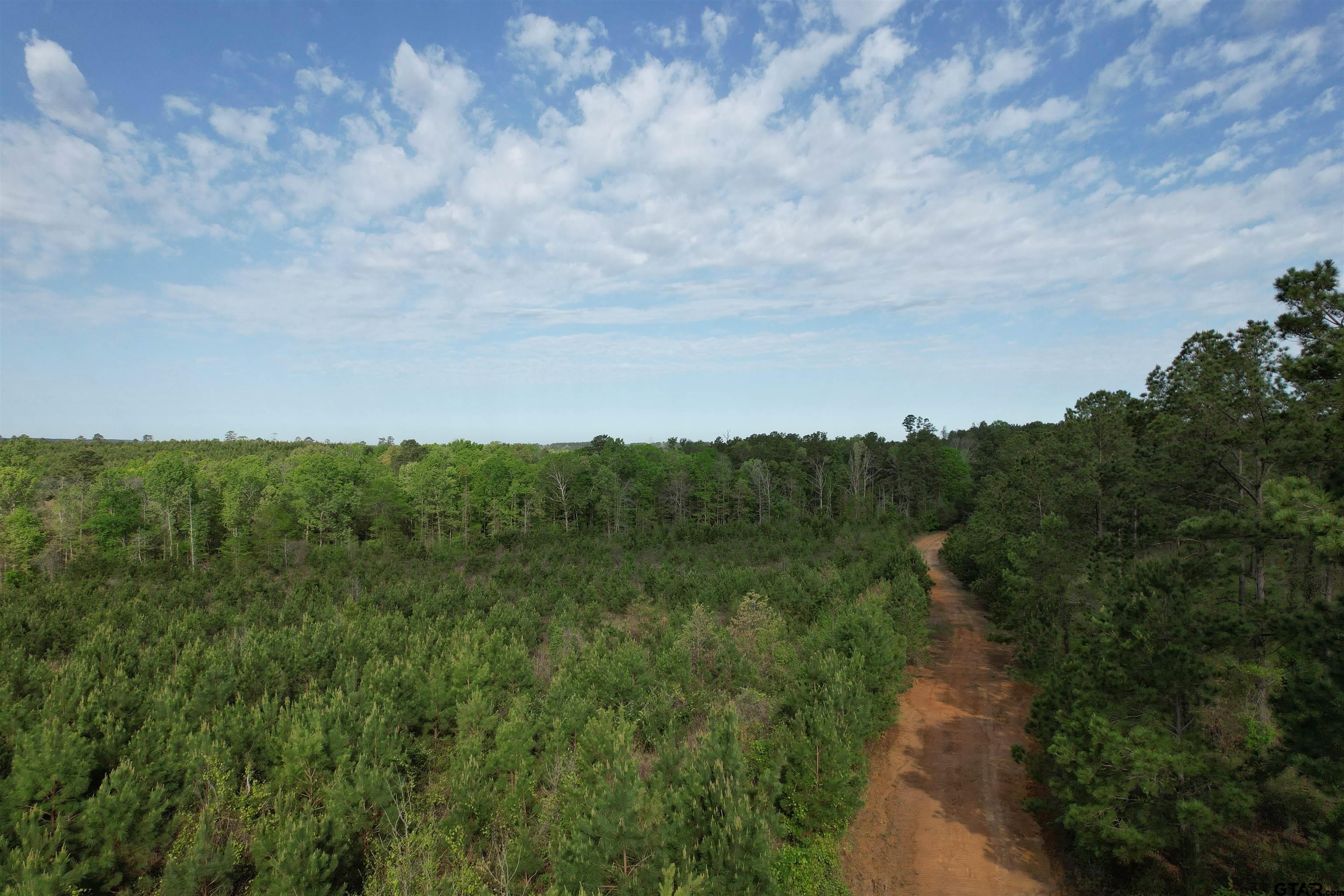 1248 / Cr Rusk, TX 75785 - Photo 25 of 44 a view of a bunch of trees in a field