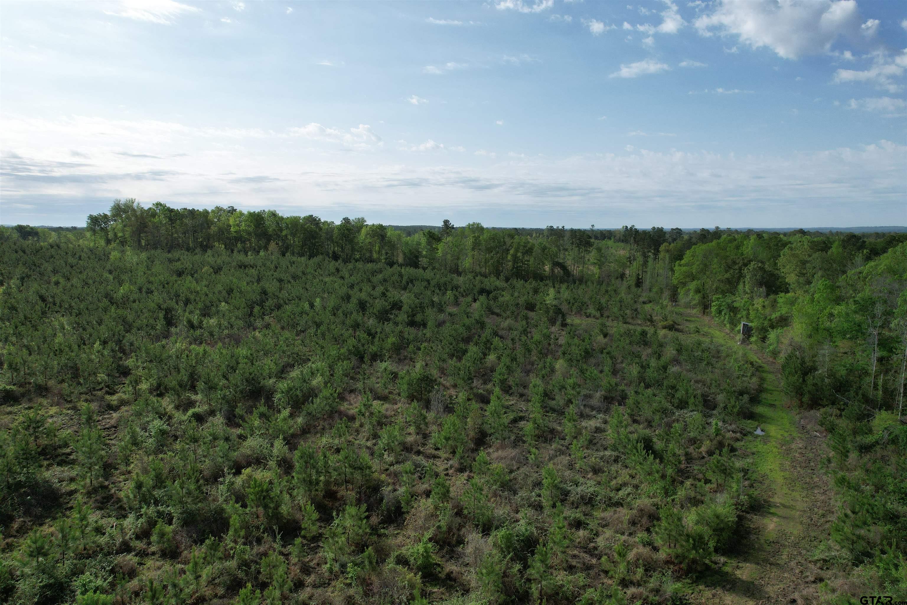 1248 / Cr Rusk, TX 75785 - Photo 26 of 44 an aerial view of a city