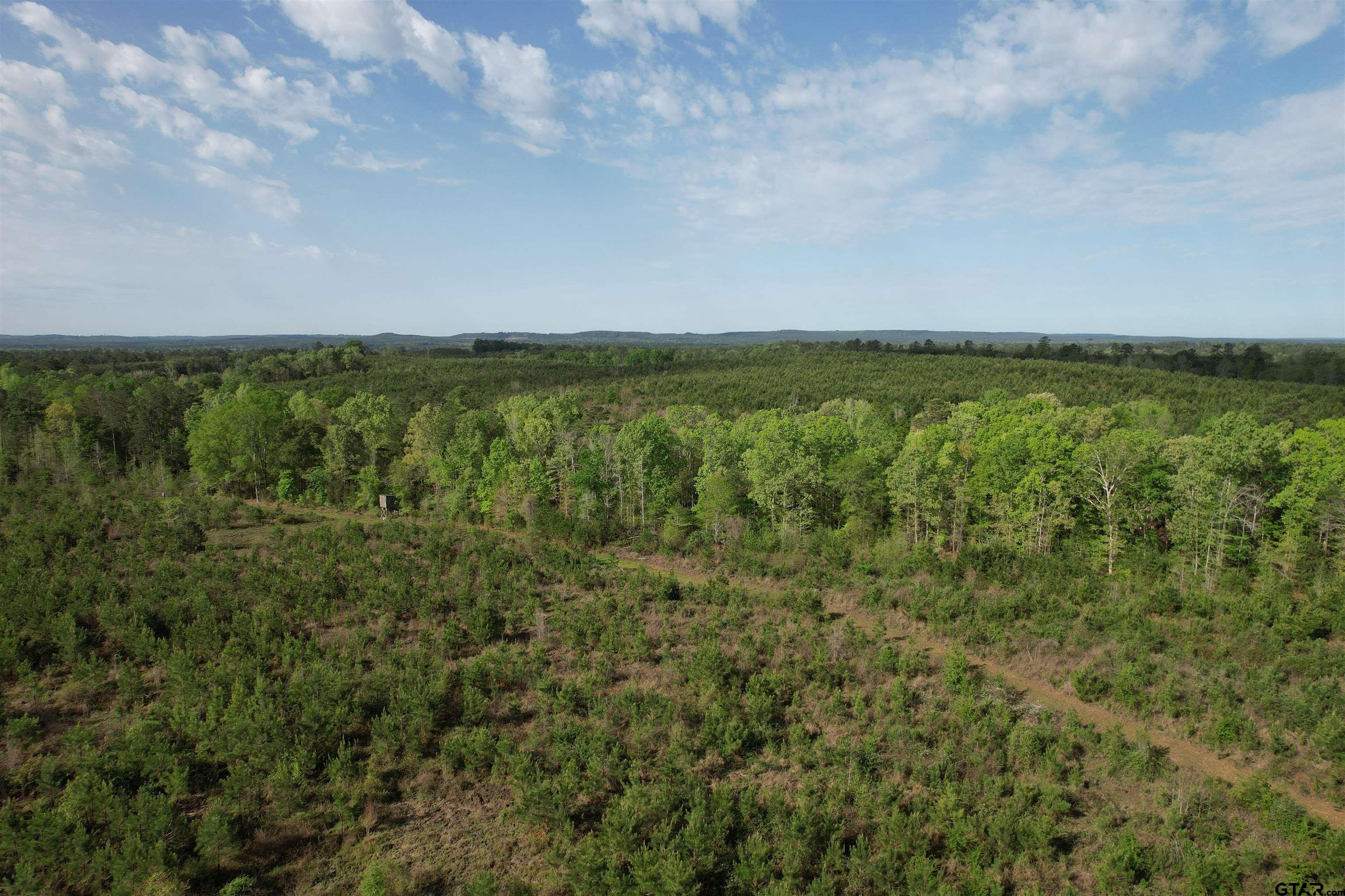 1248 / Cr Rusk, TX 75785 - Photo 27 of 44 a view of an ocean