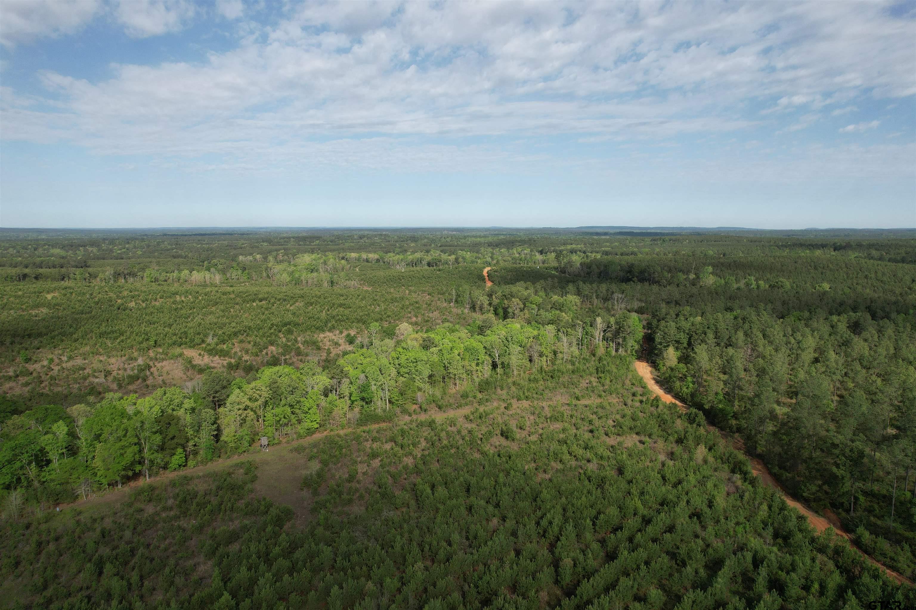 1248 / Cr Rusk, TX 75785 - Photo 28 of 44 an aerial view of residential houses with outdoor space and trees