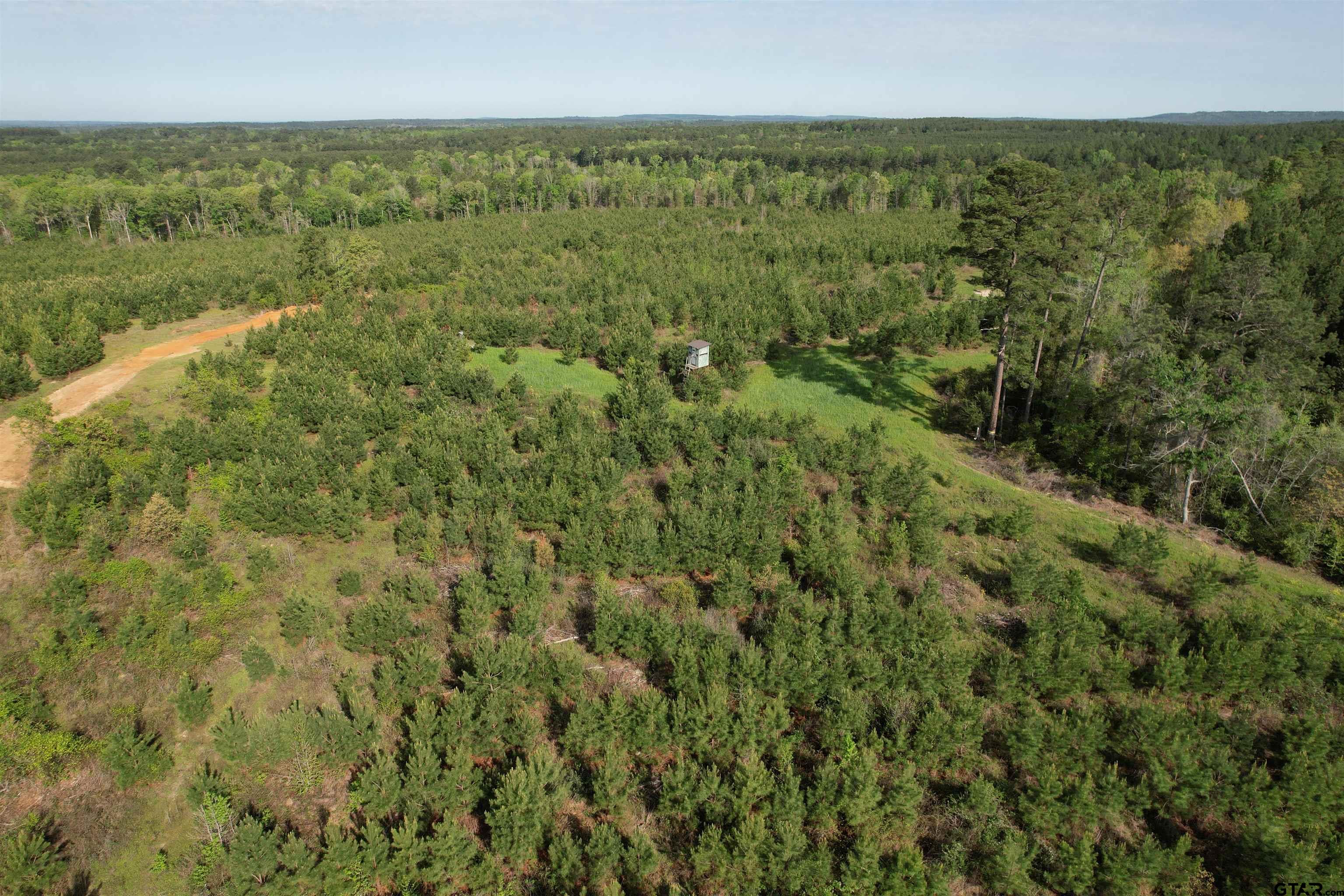1248 / Cr Rusk, TX 75785 - Photo 30 of 44 a view of a field with an ocean