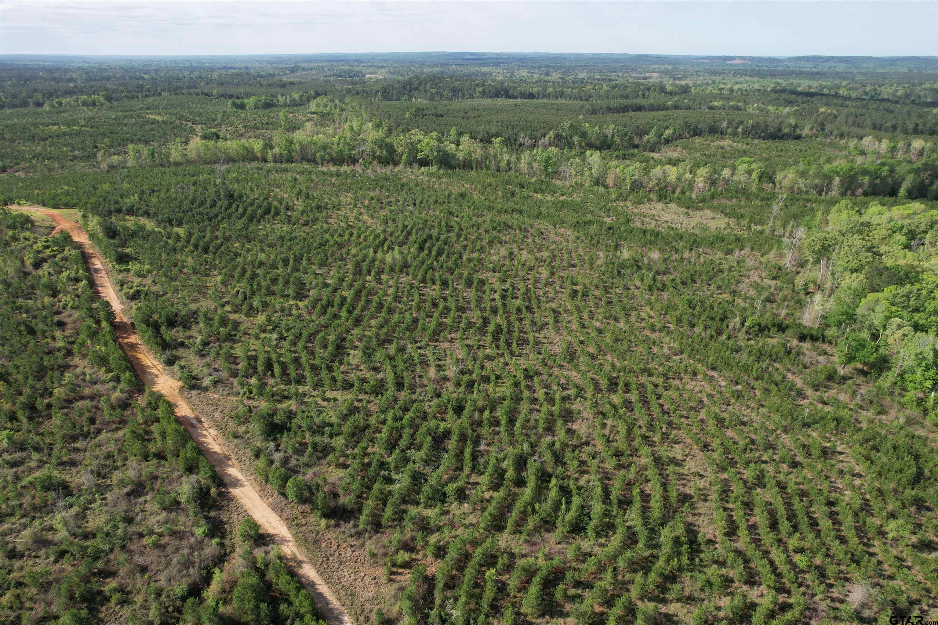 1248 / Cr Rusk, TX 75785 - Photo 3 of 44 a view of a lush green forest with lush green forest