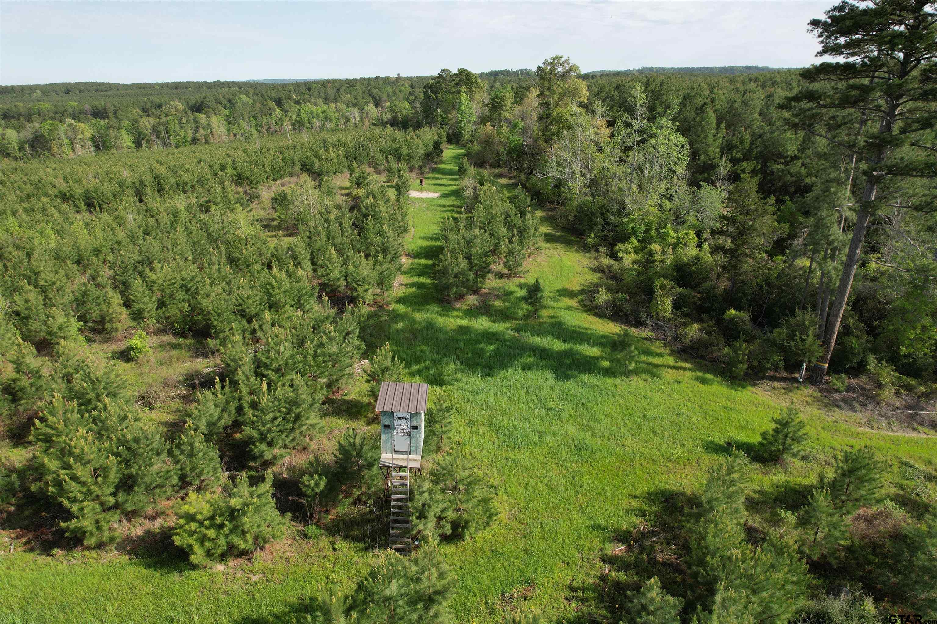 1248 / Cr Rusk, TX 75785 - Photo 31 of 44 a view of a back yard