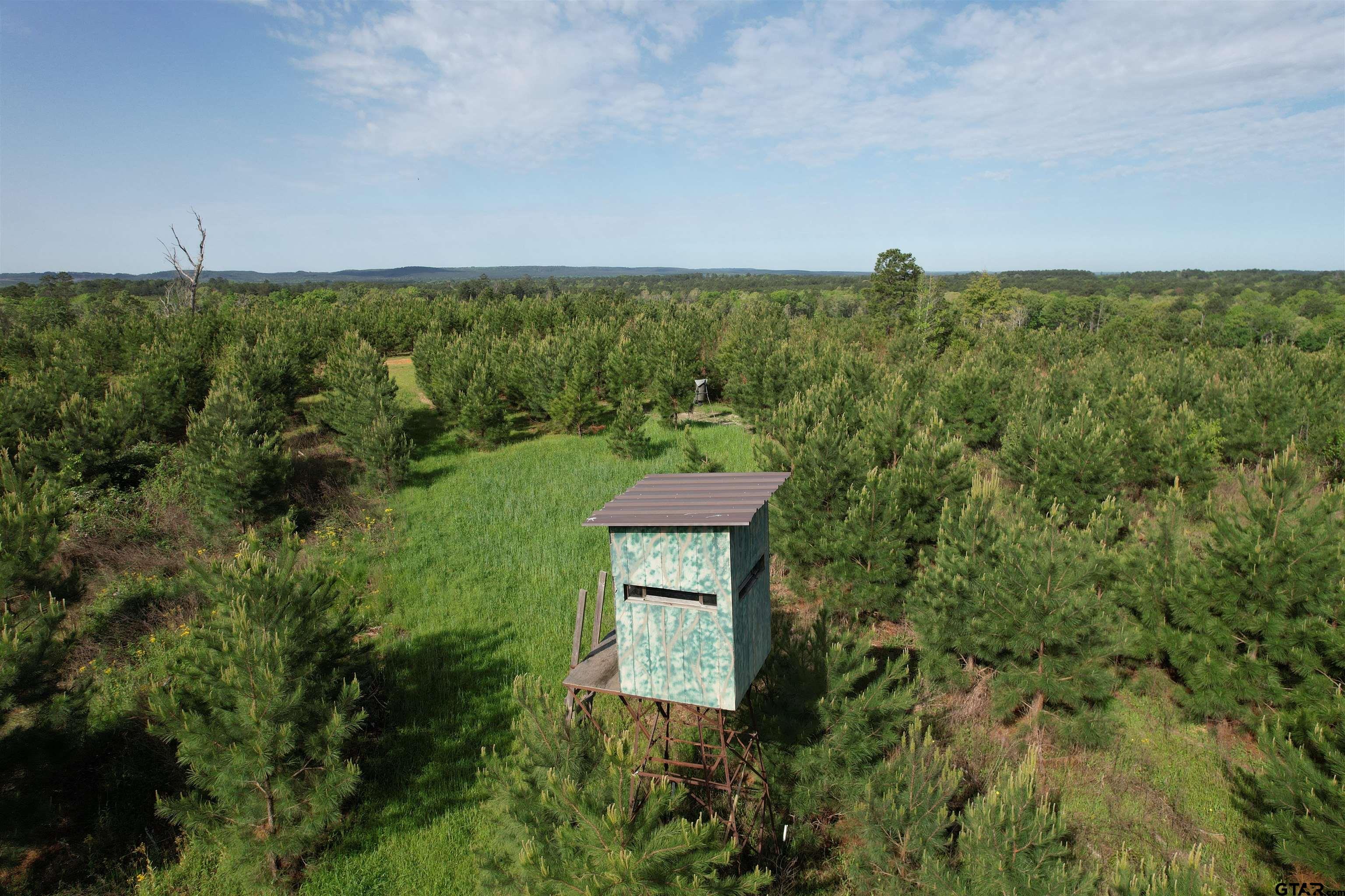 1248 / Cr Rusk, TX 75785 - Photo 32 of 44
