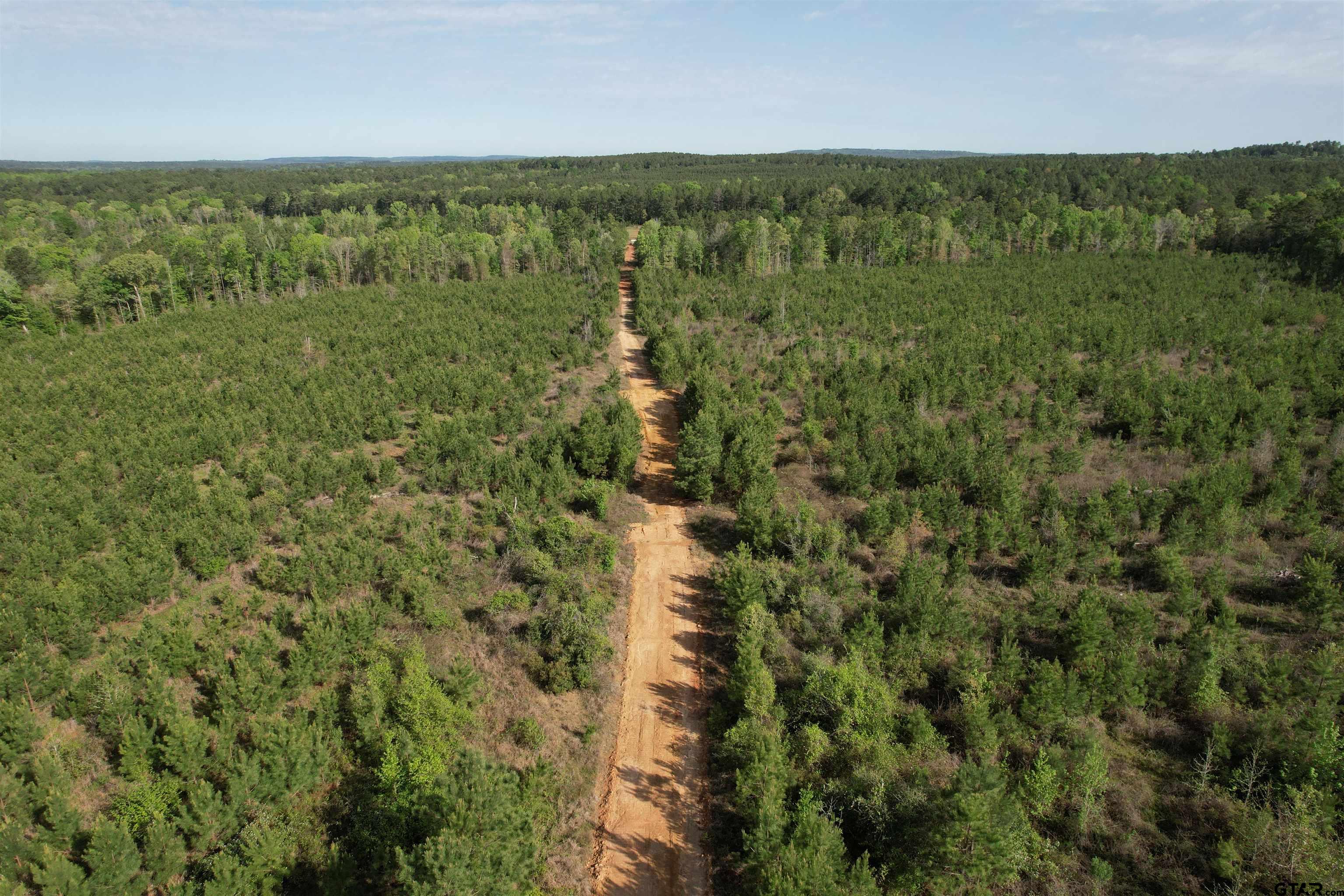 1248 / Cr Rusk, TX 75785 - Photo 33 of 44 a view of a forest with a houses
