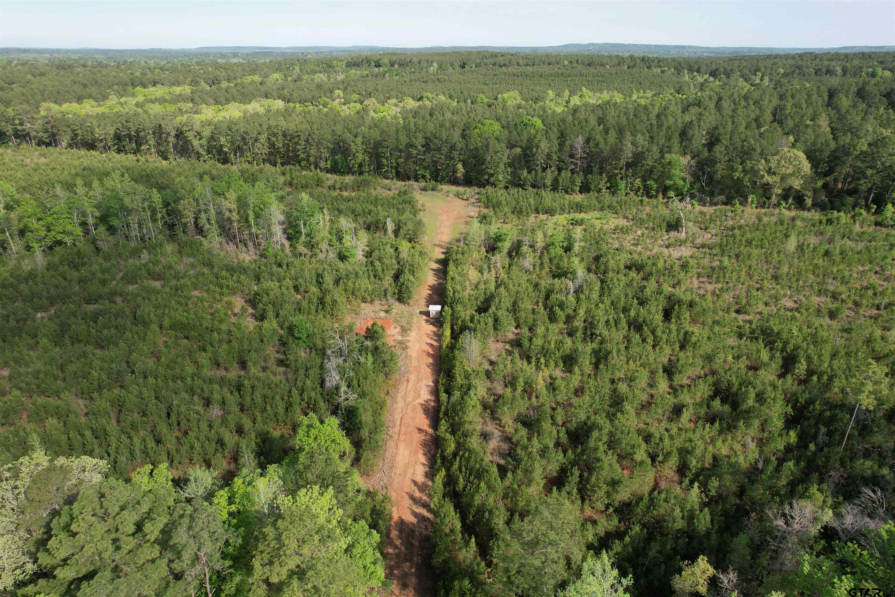 1248 / Cr Rusk, TX 75785 - Photo 34 of 44 a view of a green field with lots of trees