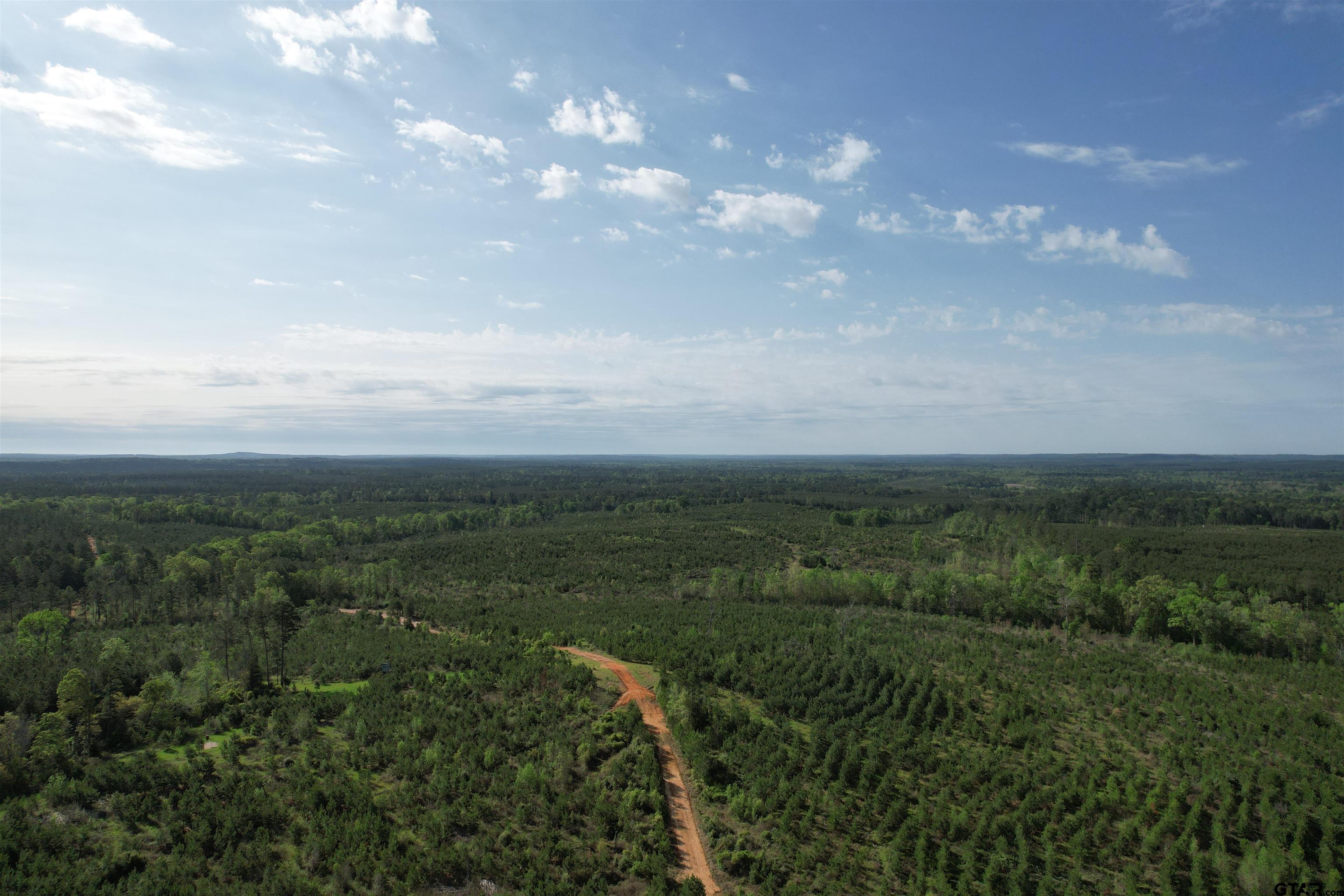 1248 / Cr Rusk, TX 75785 - Photo 35 of 44 a view of a city with lush green forest