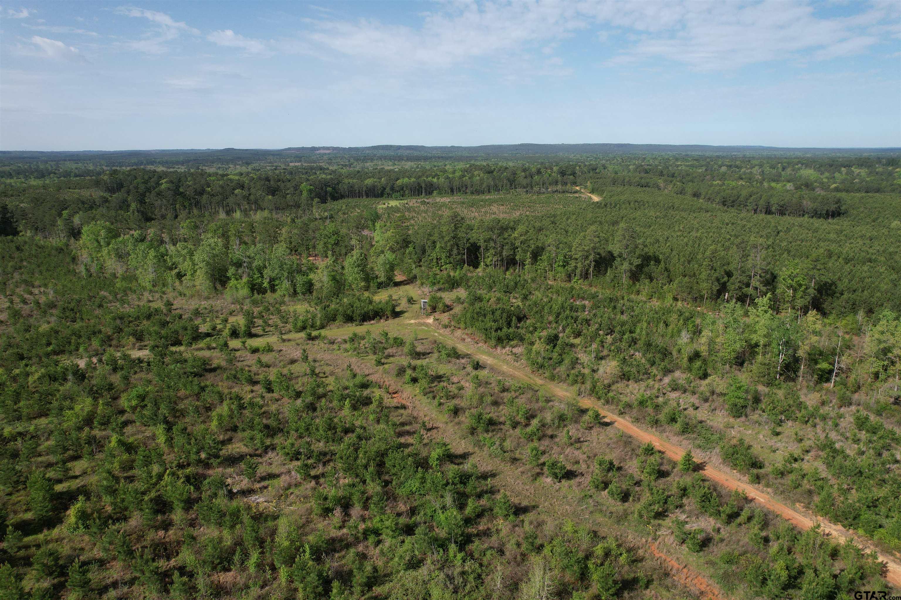 1248 / Cr Rusk, TX 75785 - Photo 36 of 44 a view of a green field with lots of trees in it