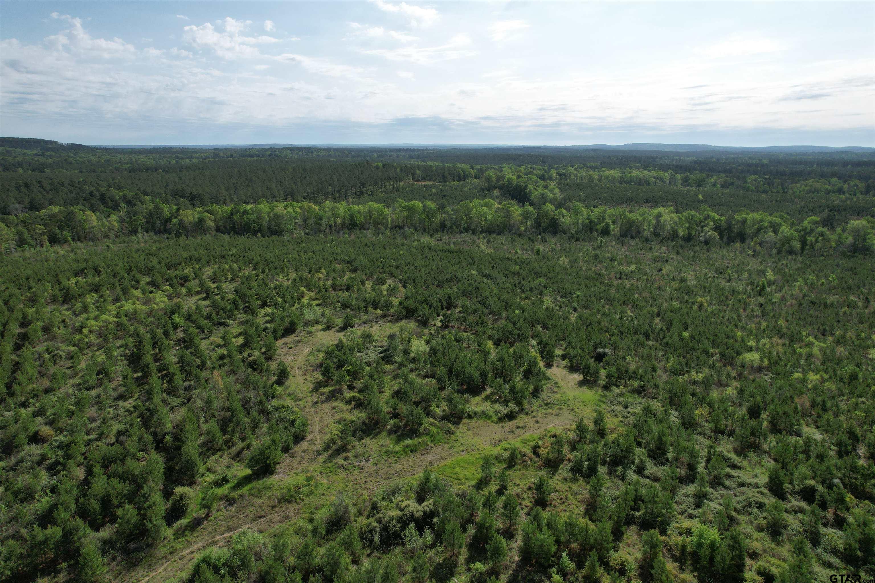 1248 / Cr Rusk, TX 75785 - Photo 37 of 44 an aerial view of residential houses with outdoor space and trees