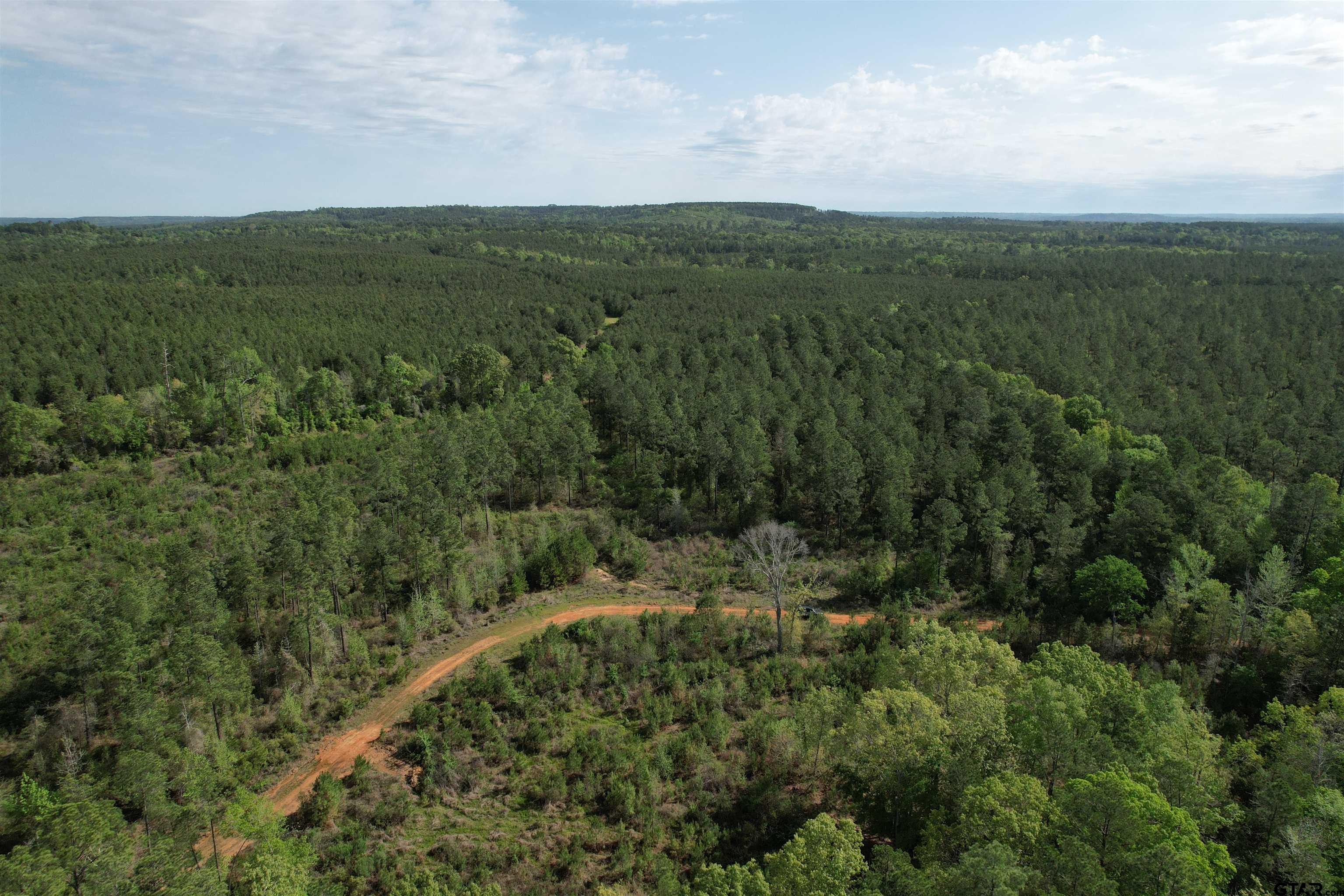 1248 / Cr Rusk, TX 75785 - Photo 38 of 44 a view of a green field with lots of trees in it