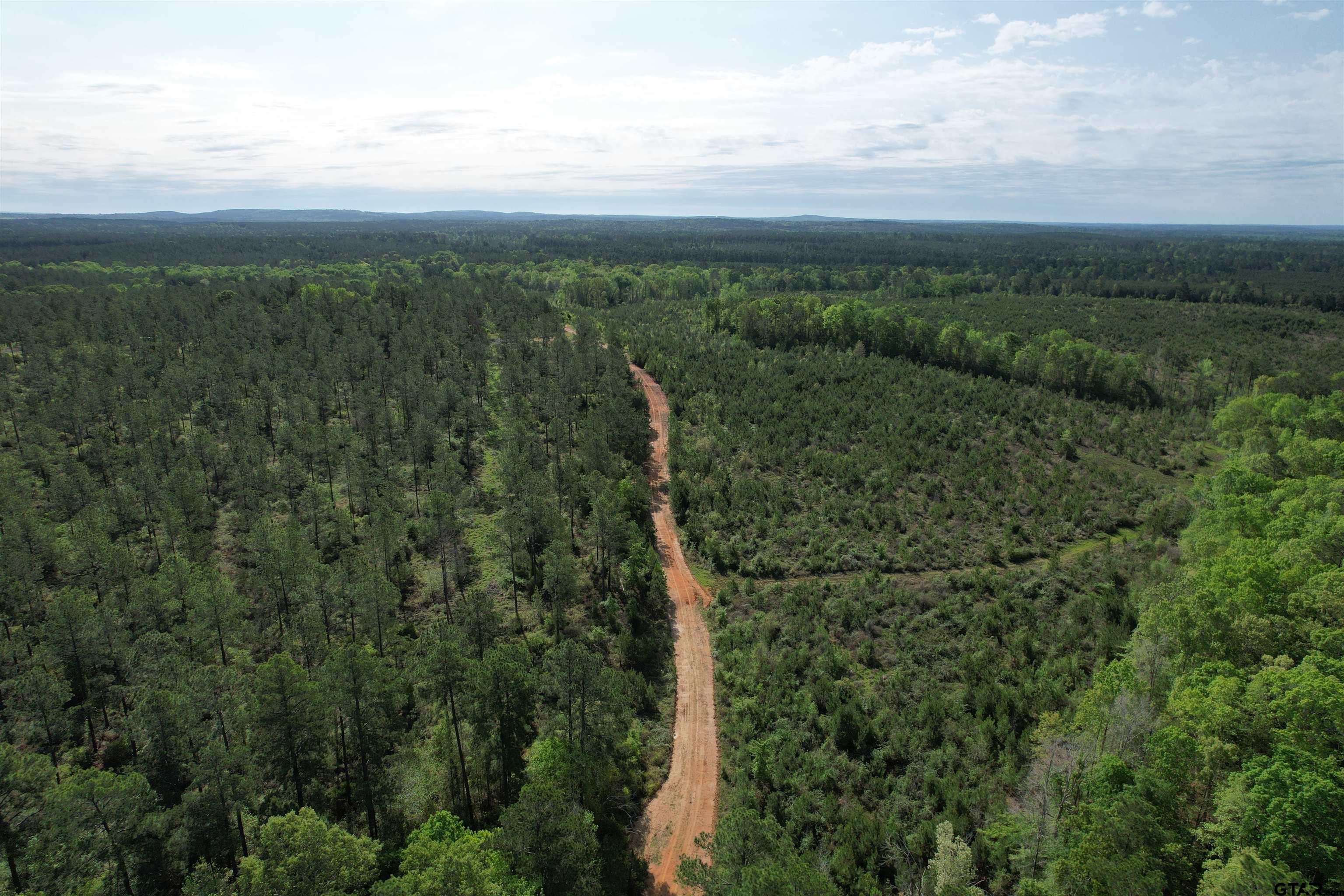 1248 / Cr Rusk, TX 75785 - Photo 39 of 44 a view of a city with lush green forest