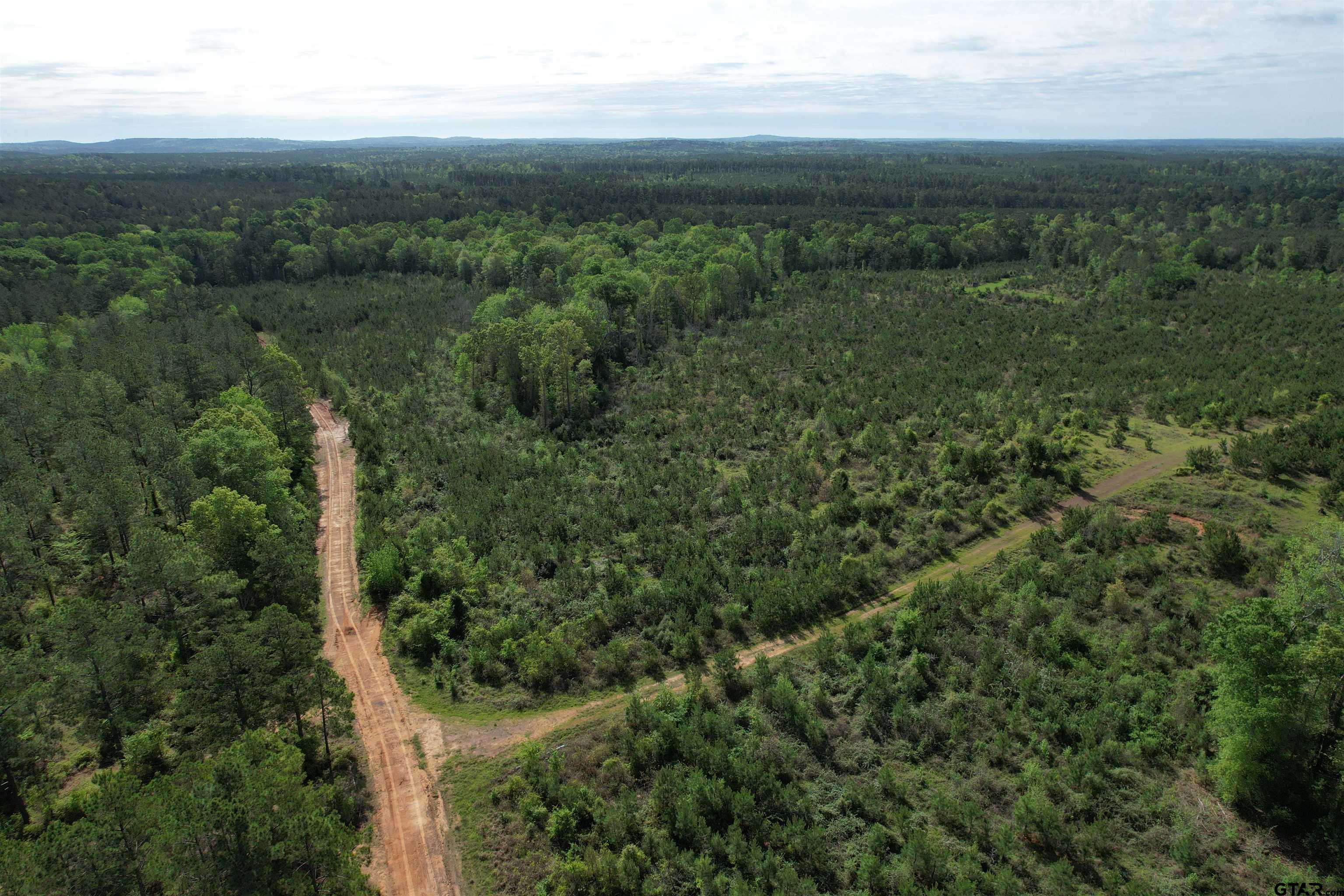 1248 / Cr Rusk, TX 75785 - Photo 40 of 44 a view of a city with lush green forest
