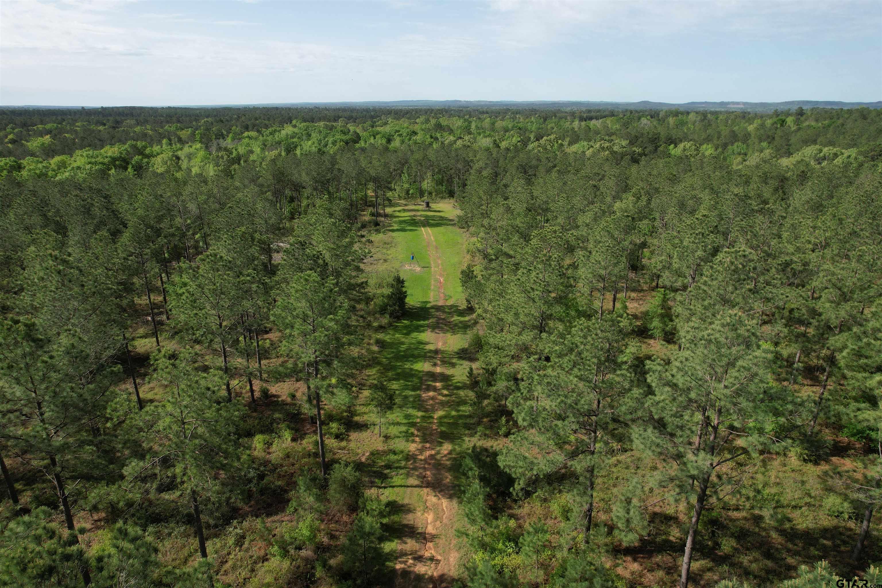 1248 / Cr Rusk, TX 75785 - Photo 4 of 44 a view of a lake view with a garden