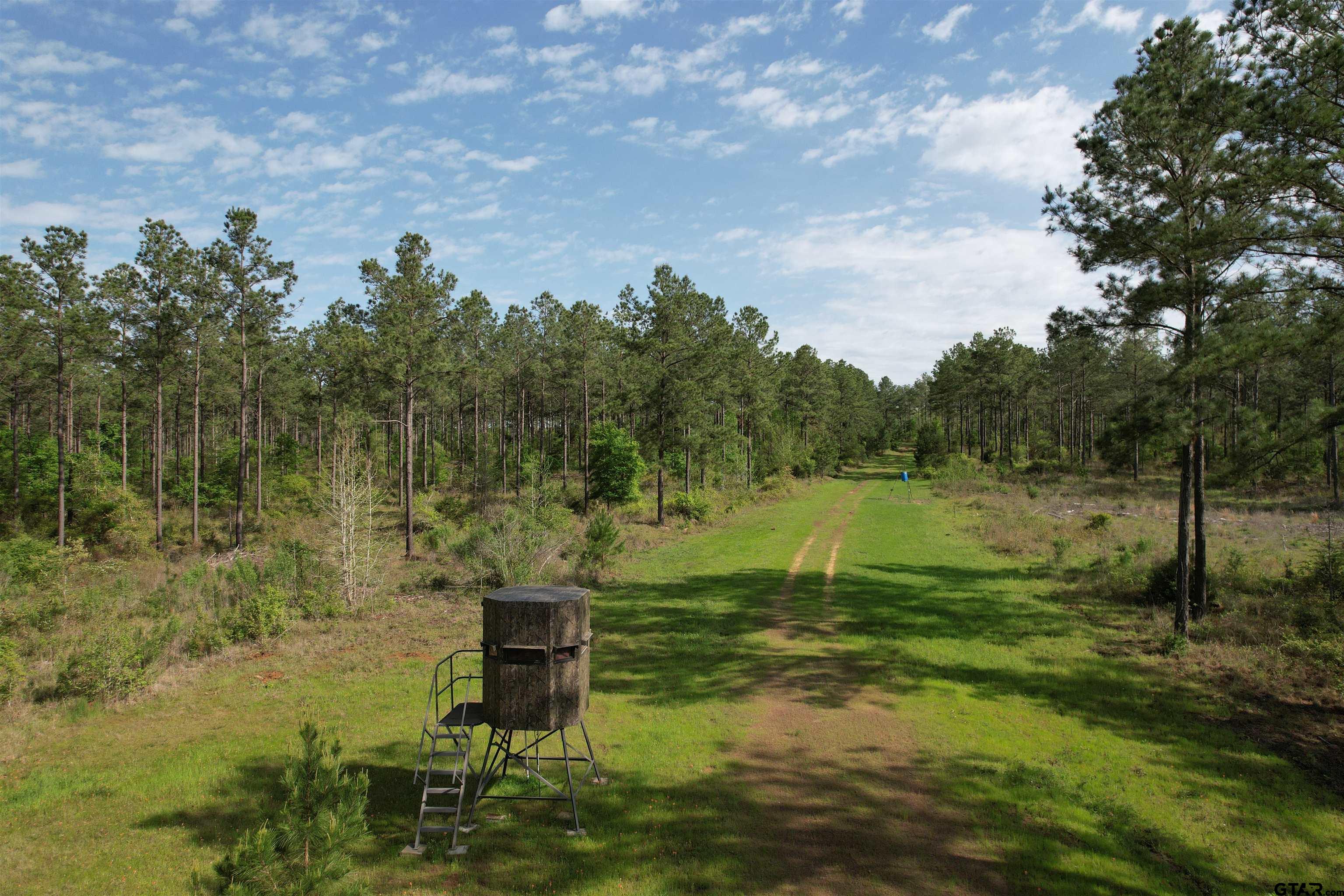 1248 / Cr Rusk, TX 75785 - Photo 41 of 44 a view of a lake with a yard and large trees