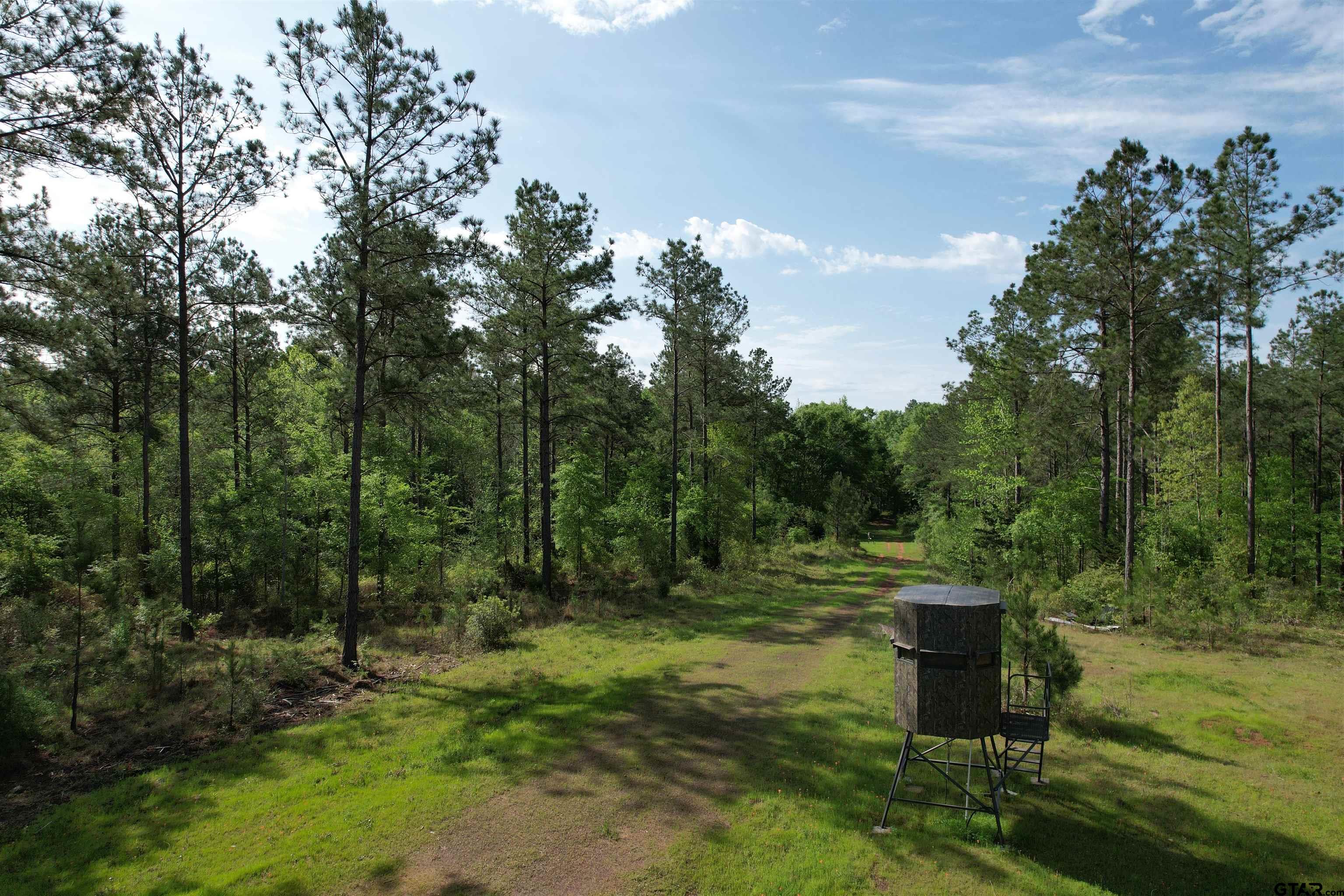 1248 / Cr Rusk, TX 75785 - Photo 42 of 44 a view of a outdoor space
