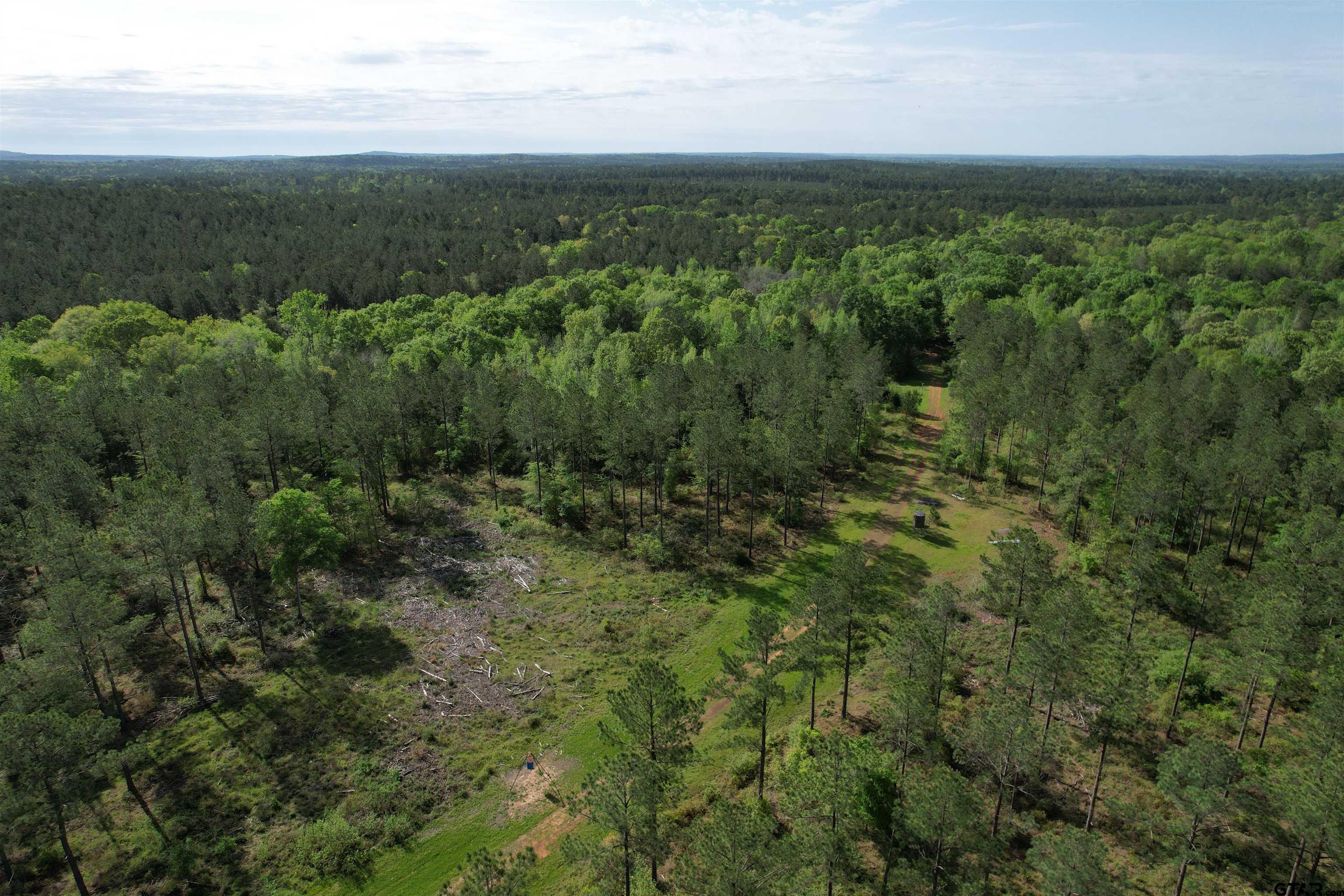 1248 / Cr Rusk, TX 75785 - Photo 43 of 44 a view of a field with an ocean
