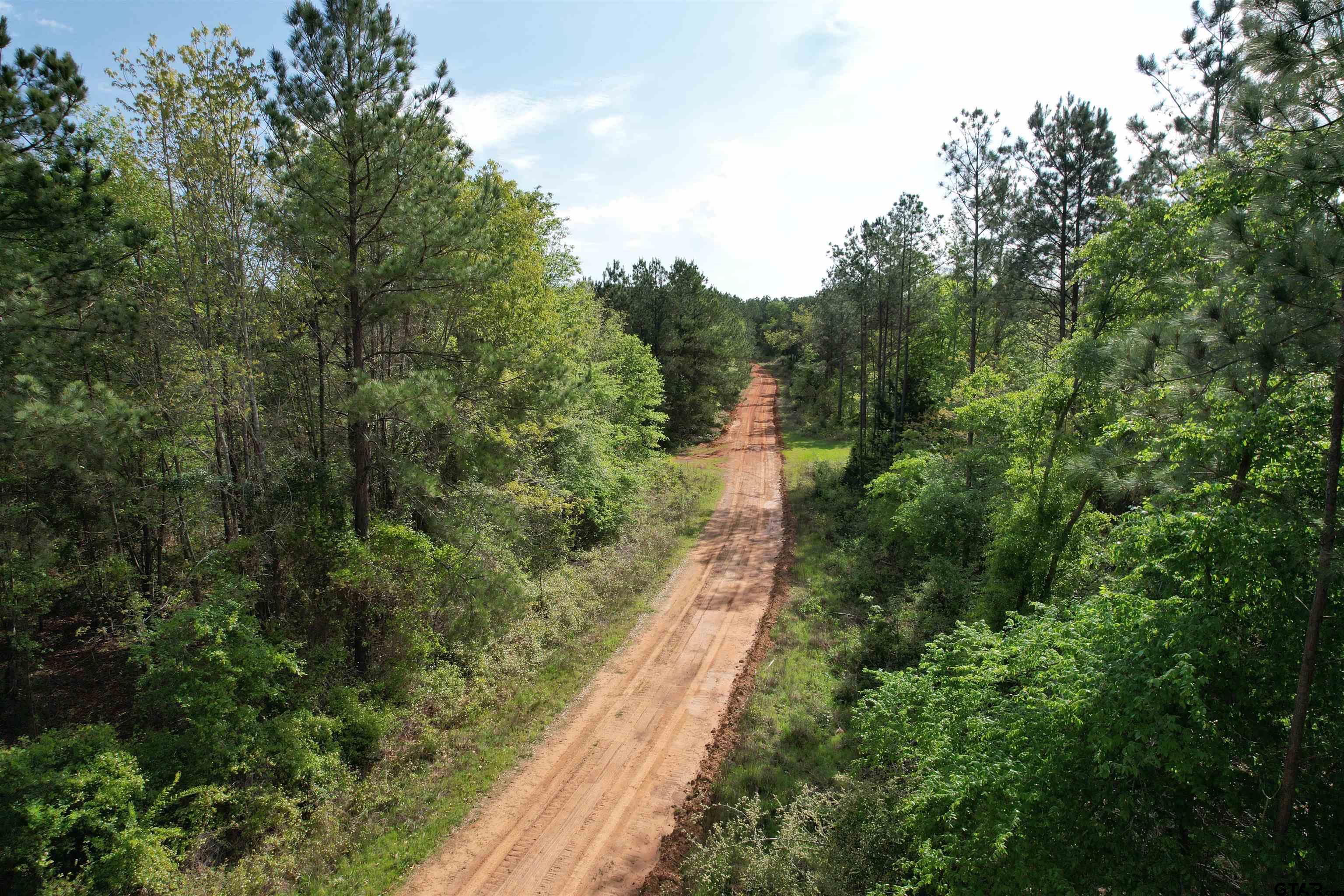 1248 / Cr Rusk, TX 75785 - Photo 44 of 44 a view of a yard with large trees