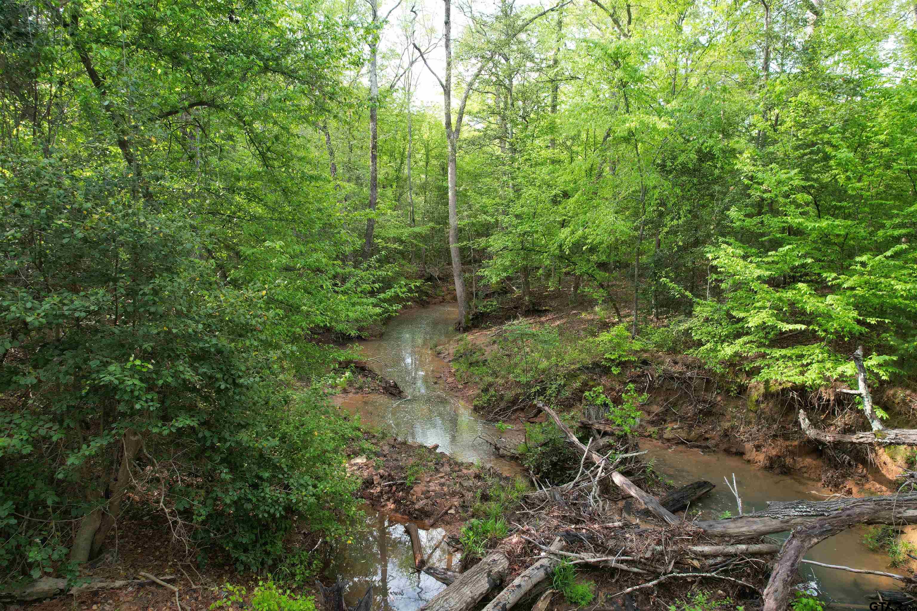 1248 / Cr Rusk, TX 75785 - Photo 5 of 44 a view of a forest with a tree