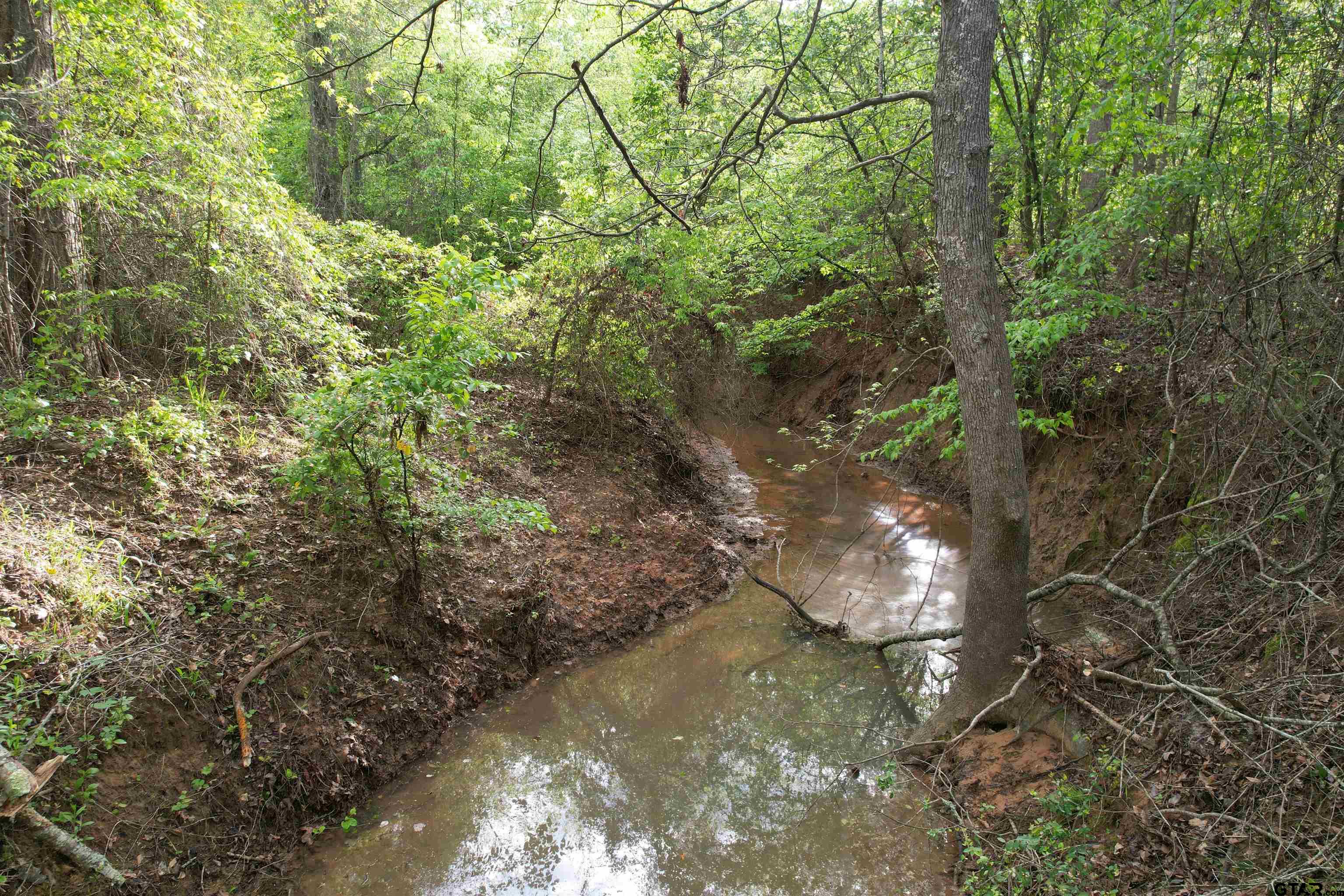 1248 / Cr Rusk, TX 75785 - Photo 6 of 44 a view of a tree in a yard