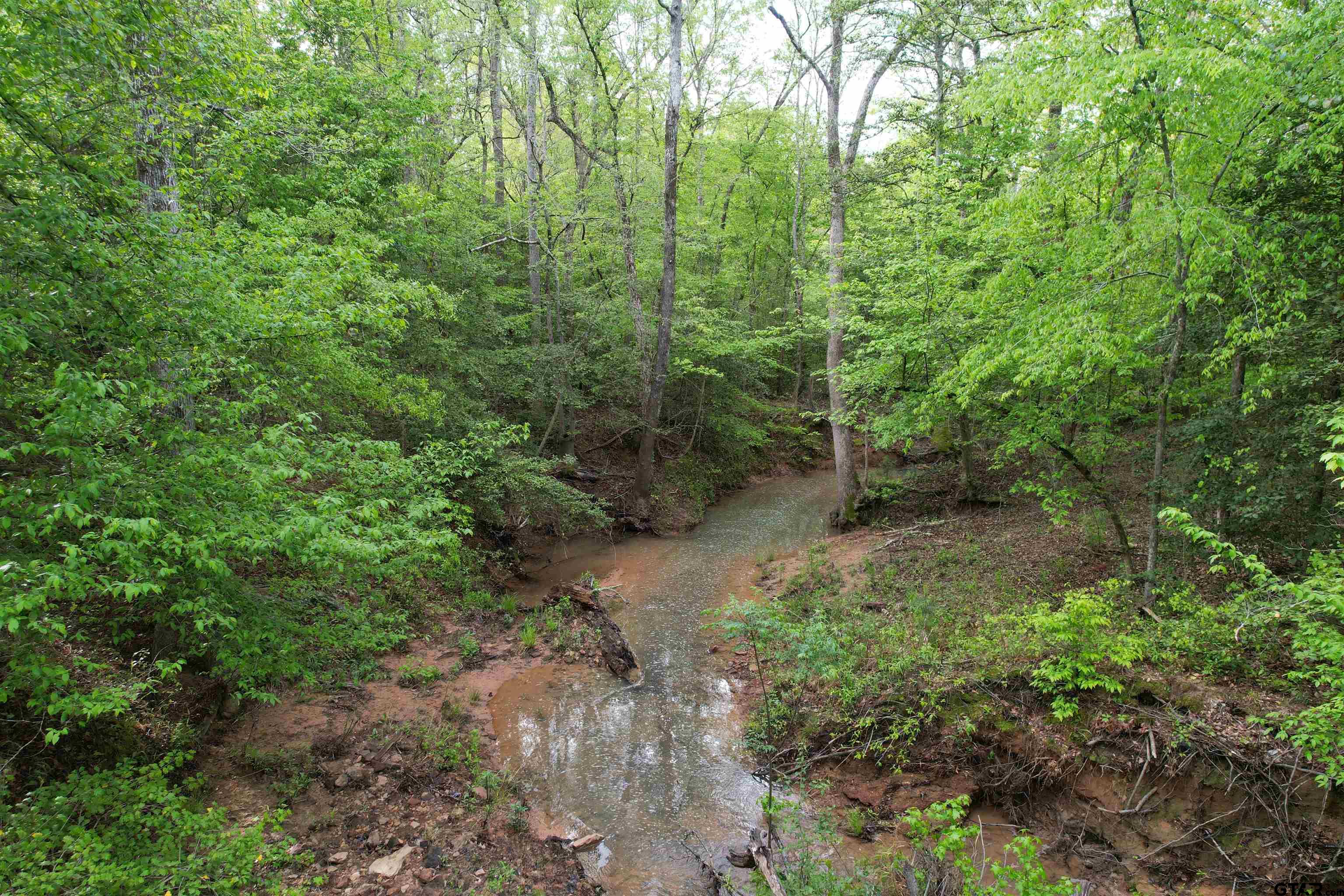 1248 / Cr Rusk, TX 75785 - Photo 7 of 44 a view of a forest with trees