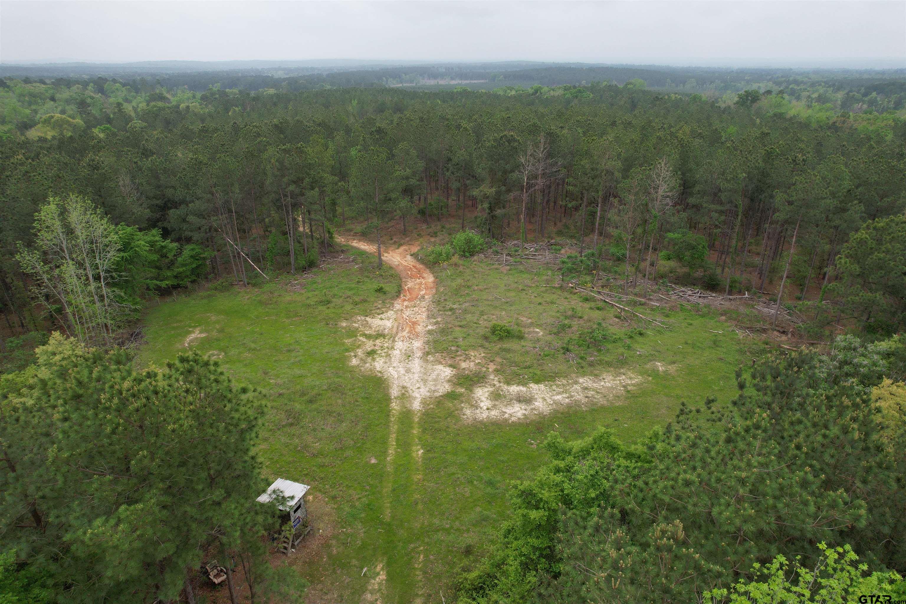 1248 / Cr Rusk, TX 75785 - Photo 10 of 44 a view of a green yard with large trees