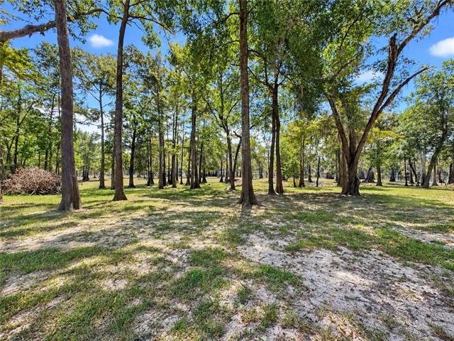 2028 Hardwater Lake Road Pollock, LA 71467 - Photo 11 of 54 Gallery Image 11