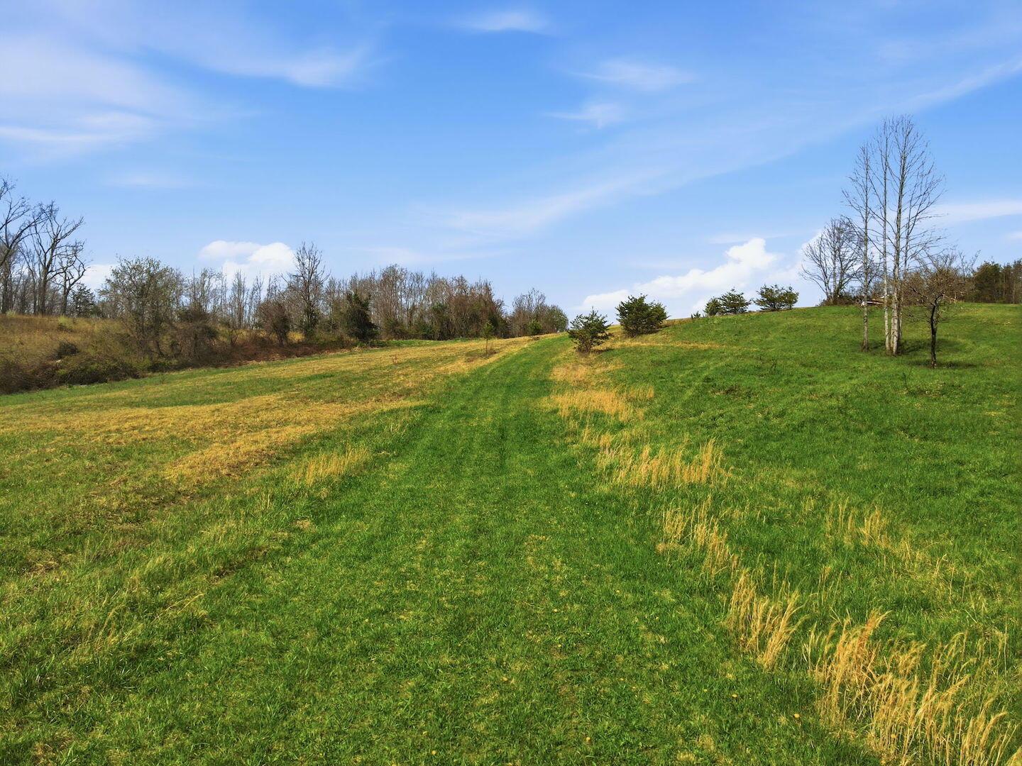 0 Roberts Road Jackson, OH 45640 - Photo 27 of 42 27-web-or-mls-DJI_0693