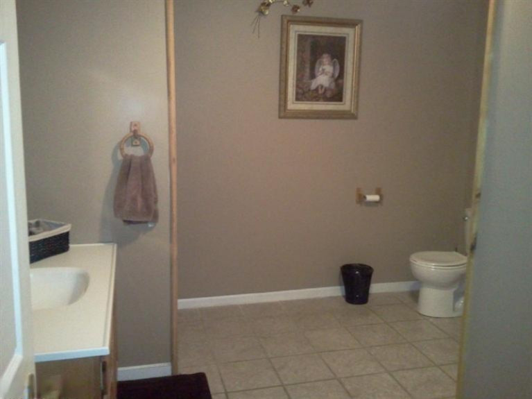1445 West Charles Road Ionia, MI 48846 - Photo 13 of 22 Additional Photo