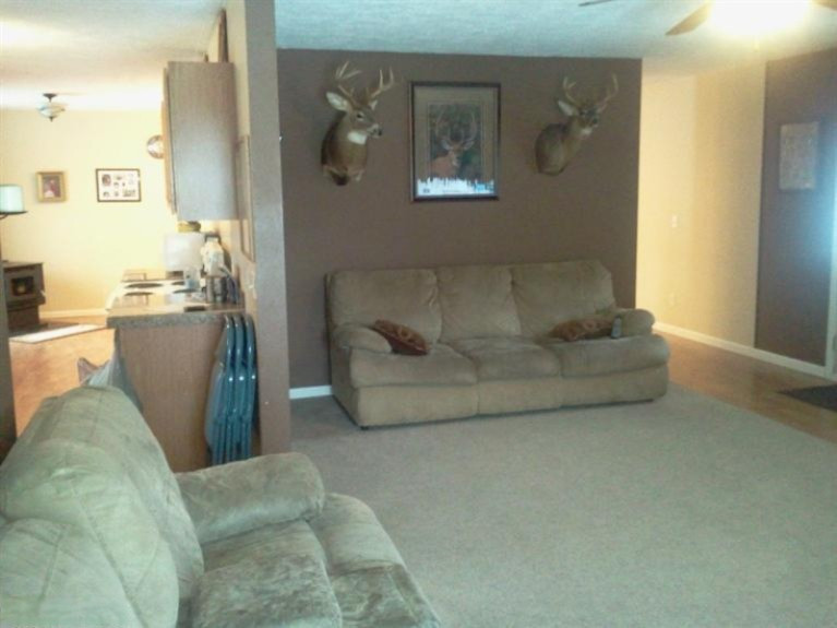 1445 West Charles Road Ionia, MI 48846 - Photo 4 of 22 Additional Photo